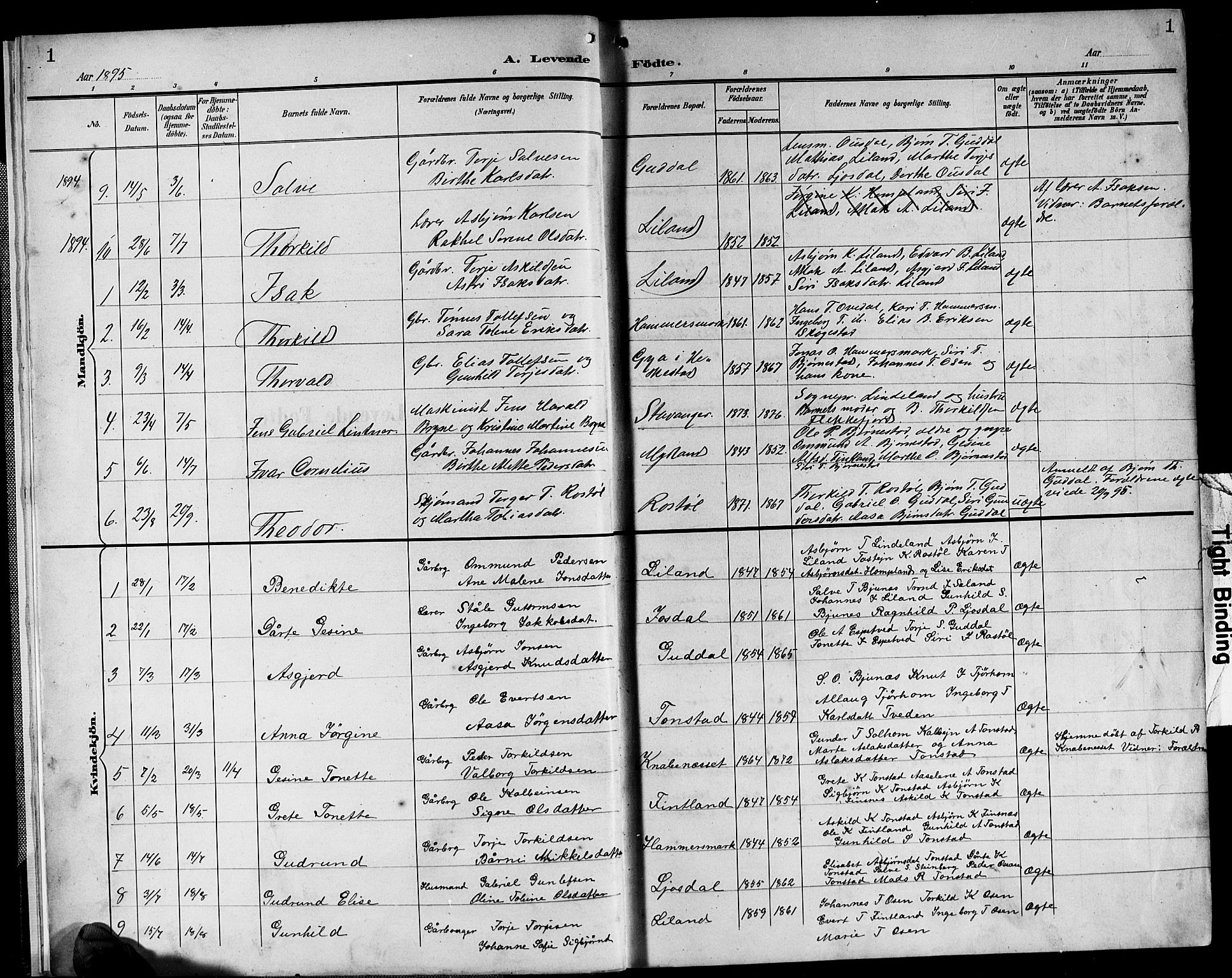 Sirdal sokneprestkontor, SAK/1111-0036/F/Fb/Fbb/L0004: Parish register (copy) no. B 4, 1895-1916, p. 1