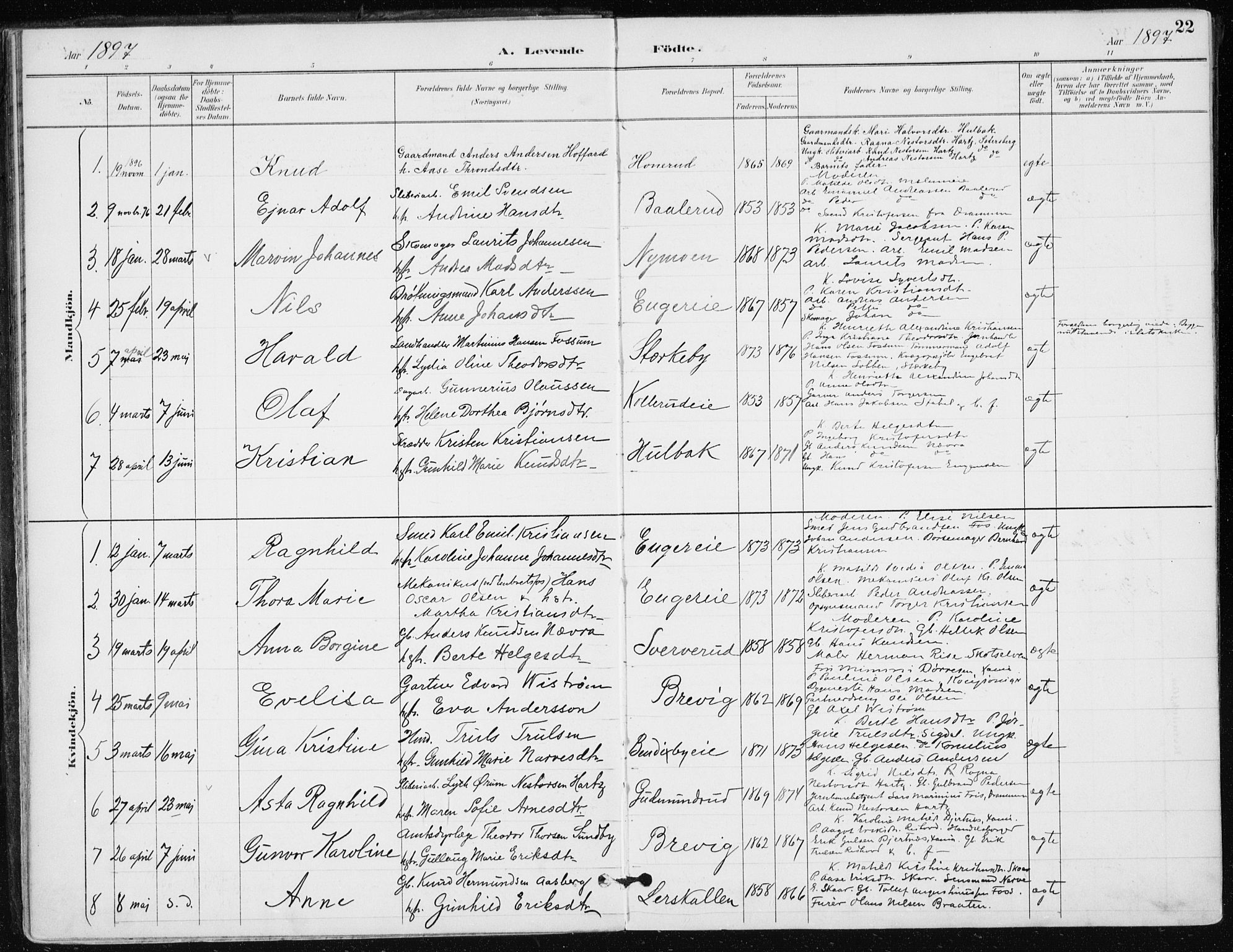 Modum kirkebøker, AV/SAKO-A-234/F/Fa/L0016: Parish register (official) no. 16, 1890-1899, p. 22