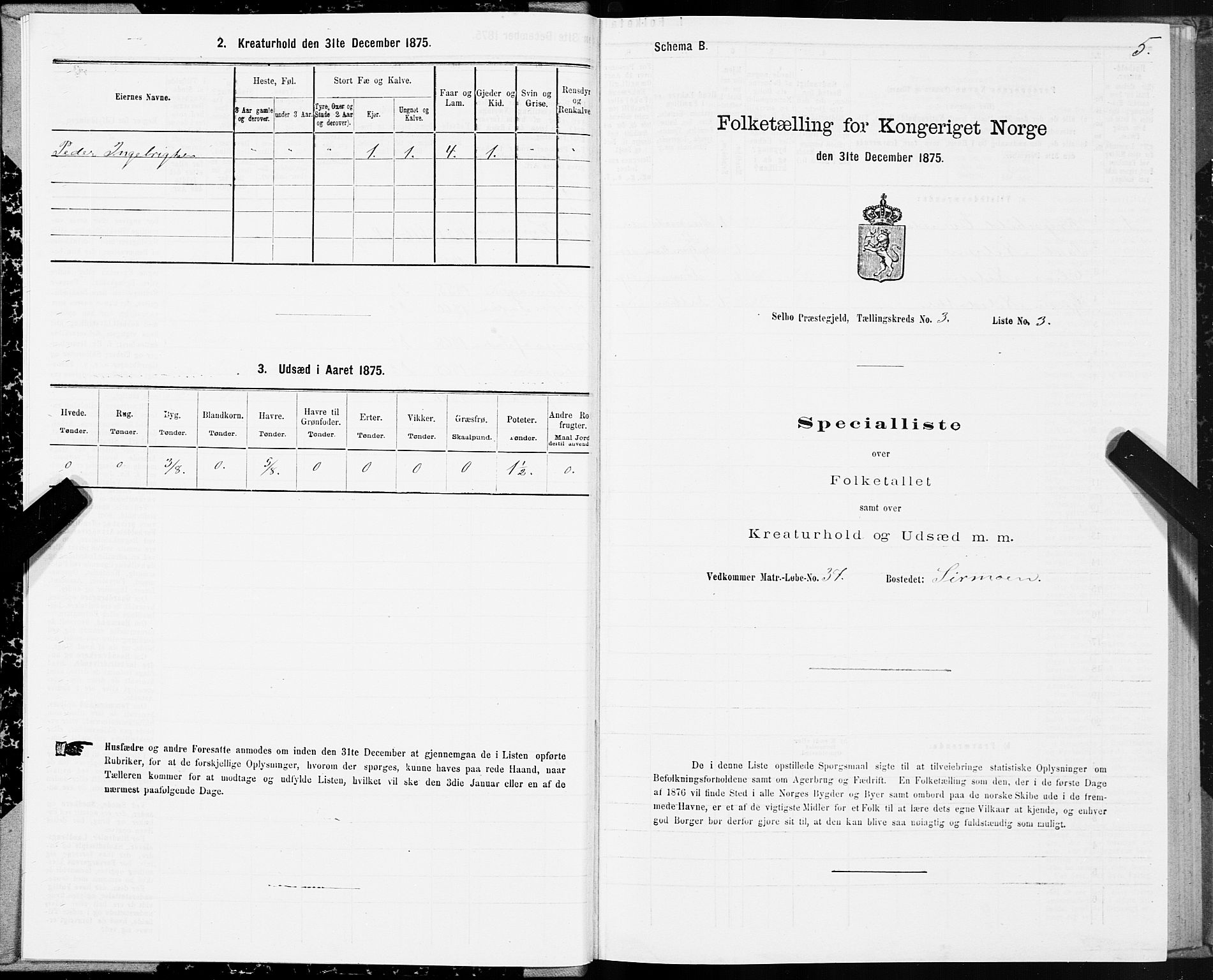 SAT, 1875 census for 1664P Selbu, 1875, p. 2005