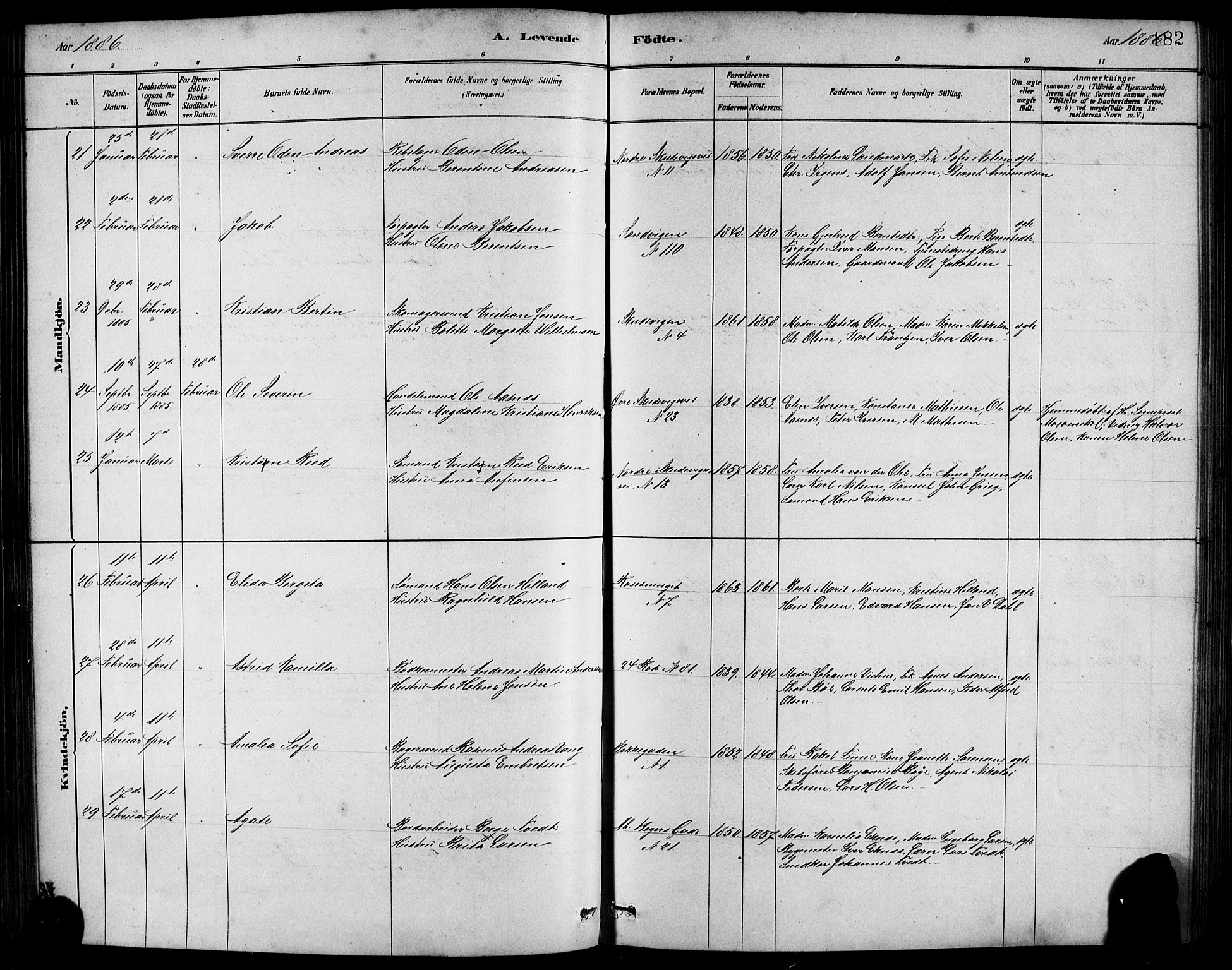 Sandviken Sokneprestembete, AV/SAB-A-77601/H/Hb/L0001: Parish register (copy) no. A 2, 1879-1892, p. 182