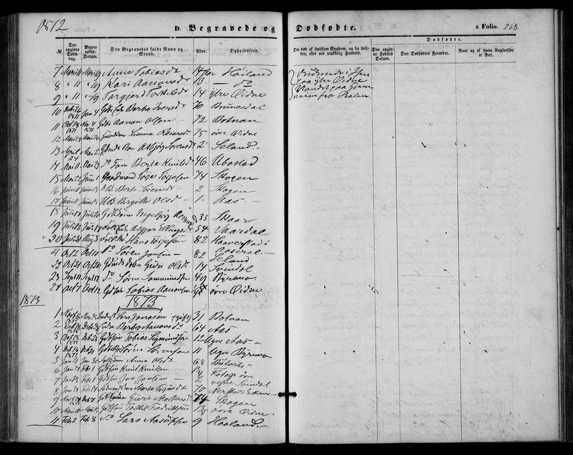 Bjelland sokneprestkontor, AV/SAK-1111-0005/F/Fa/Fac/L0002: Parish register (official) no. A 2, 1866-1887, p. 258