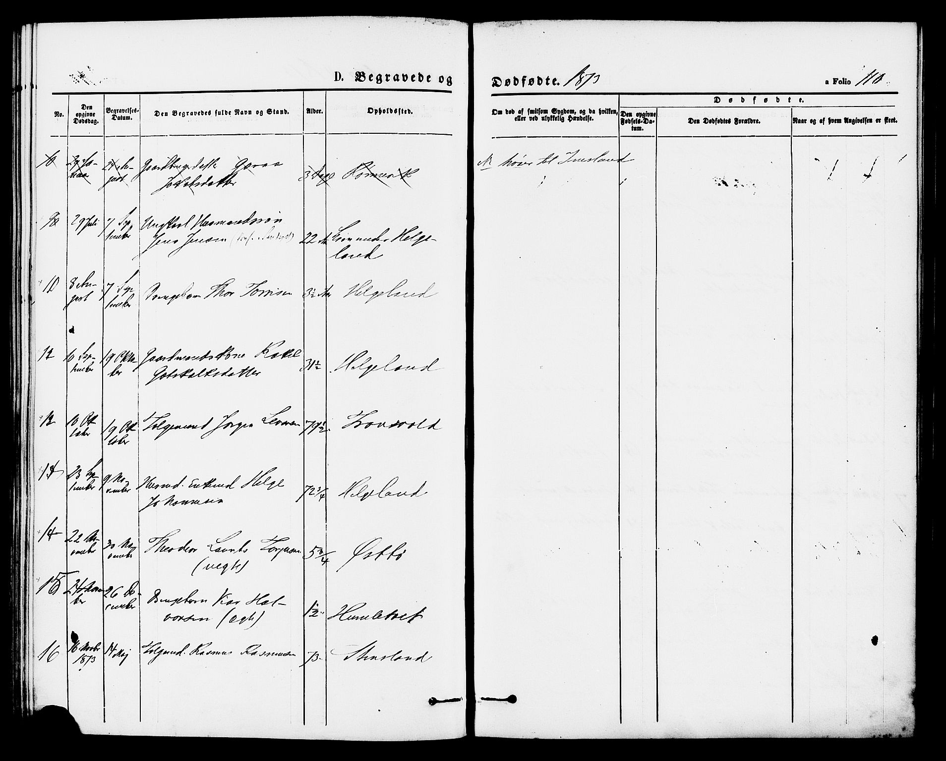 Vikedal sokneprestkontor, AV/SAST-A-101840/01/IV: Parish register (official) no. A 8, 1868-1885, p. 110