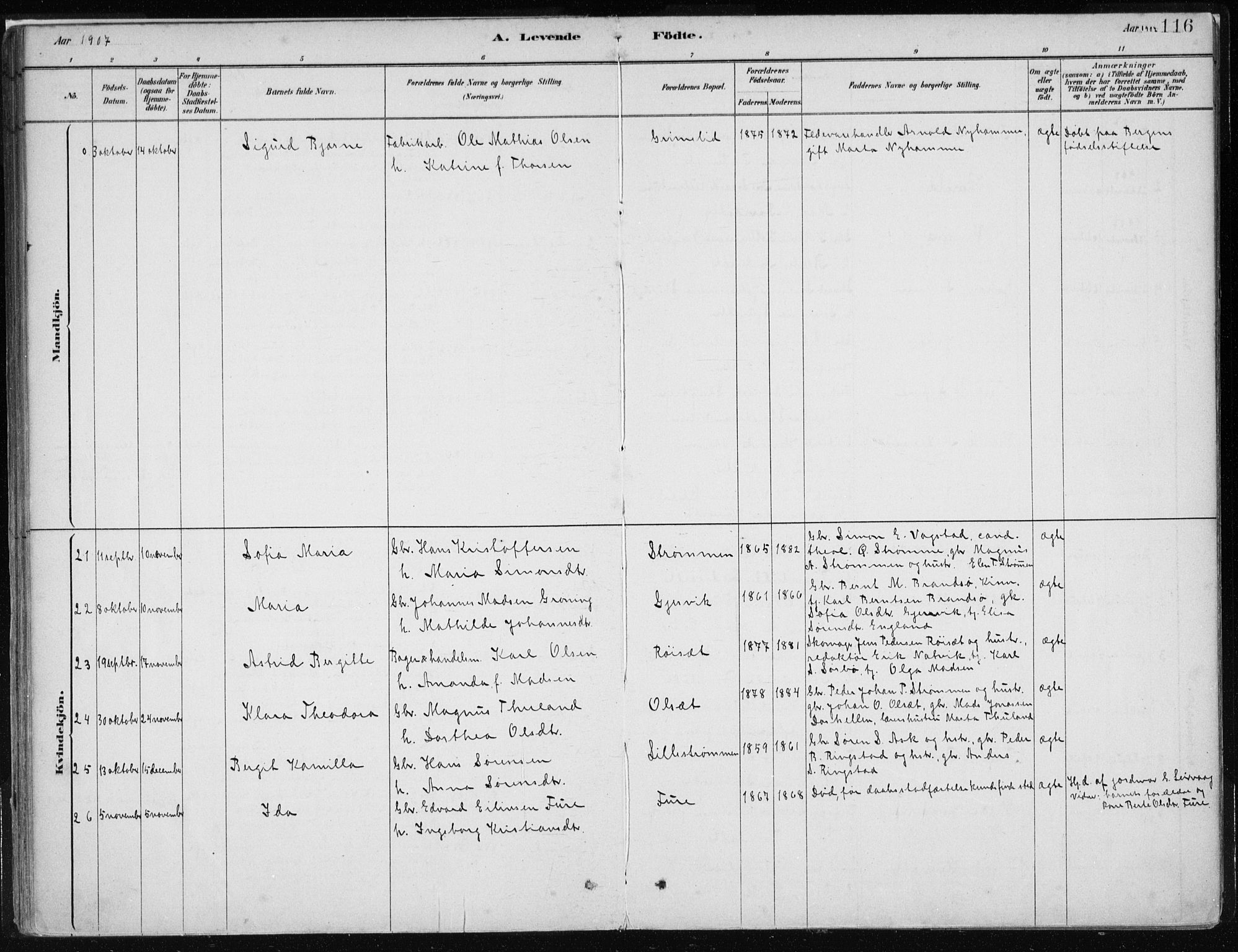 Askvoll sokneprestembete, AV/SAB-A-79501/H/Haa/Haab/L0002: Parish register (official) no. B 2, 1879-1909, p. 116