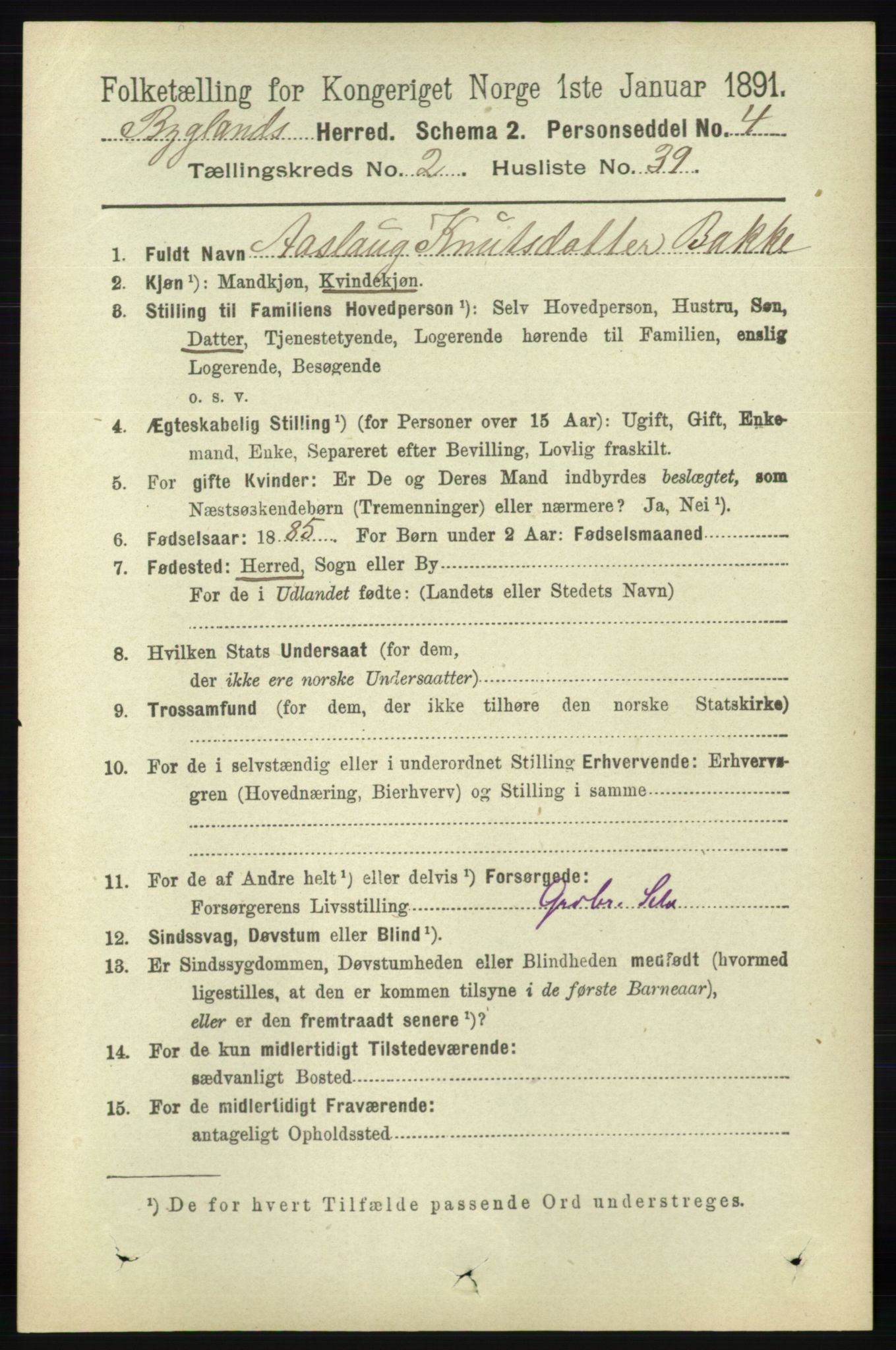 RA, 1891 census for 0938 Bygland, 1891, p. 518