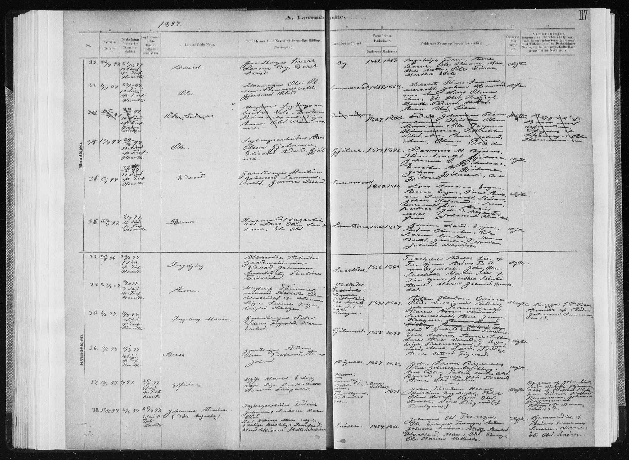 Ministerialprotokoller, klokkerbøker og fødselsregistre - Sør-Trøndelag, AV/SAT-A-1456/668/L0818: Parish register (copy) no. 668C07, 1885-1898, p. 117