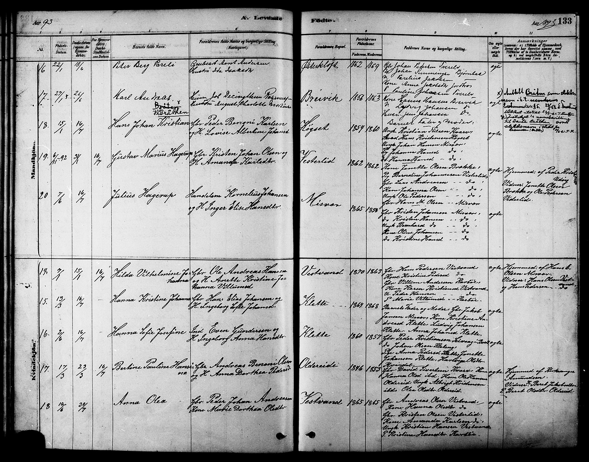 Ministerialprotokoller, klokkerbøker og fødselsregistre - Nordland, AV/SAT-A-1459/852/L0740: Parish register (official) no. 852A10, 1878-1894, p. 133