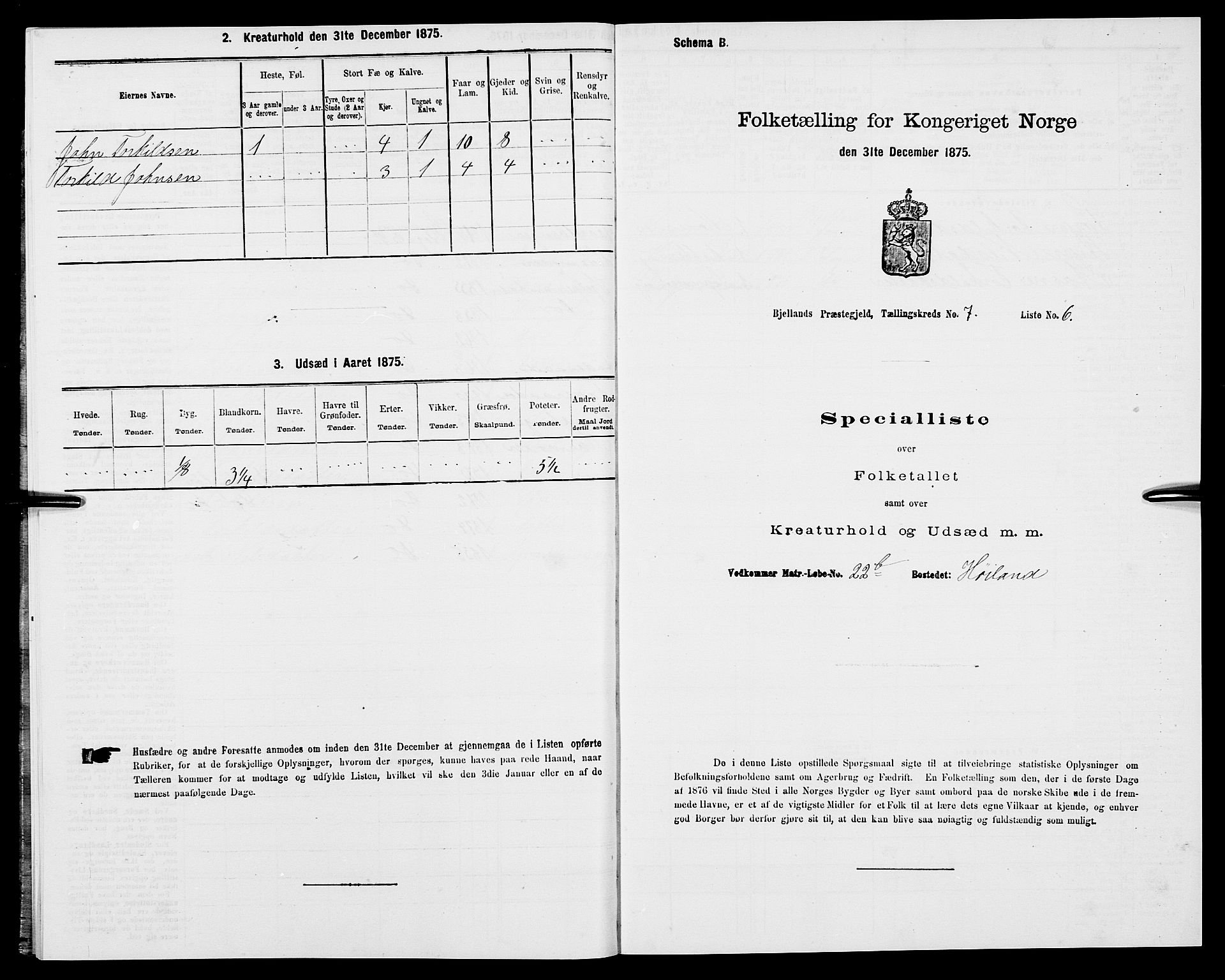 SAK, 1875 census for 1024P Bjelland, 1875, p. 401