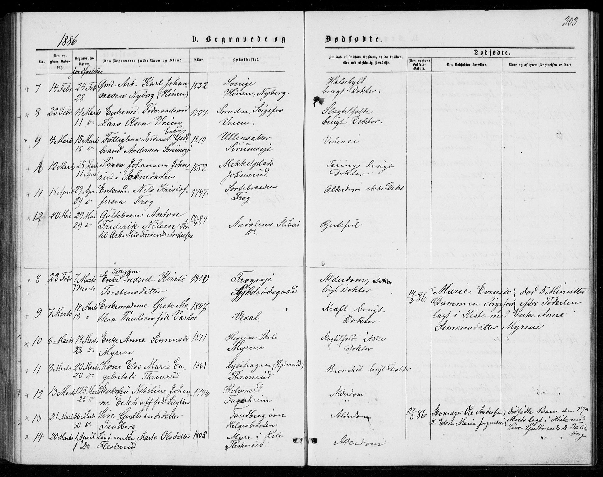 Norderhov kirkebøker, AV/SAKO-A-237/G/Ga/L0007: Parish register (copy) no. I 7, 1877-1887, p. 303