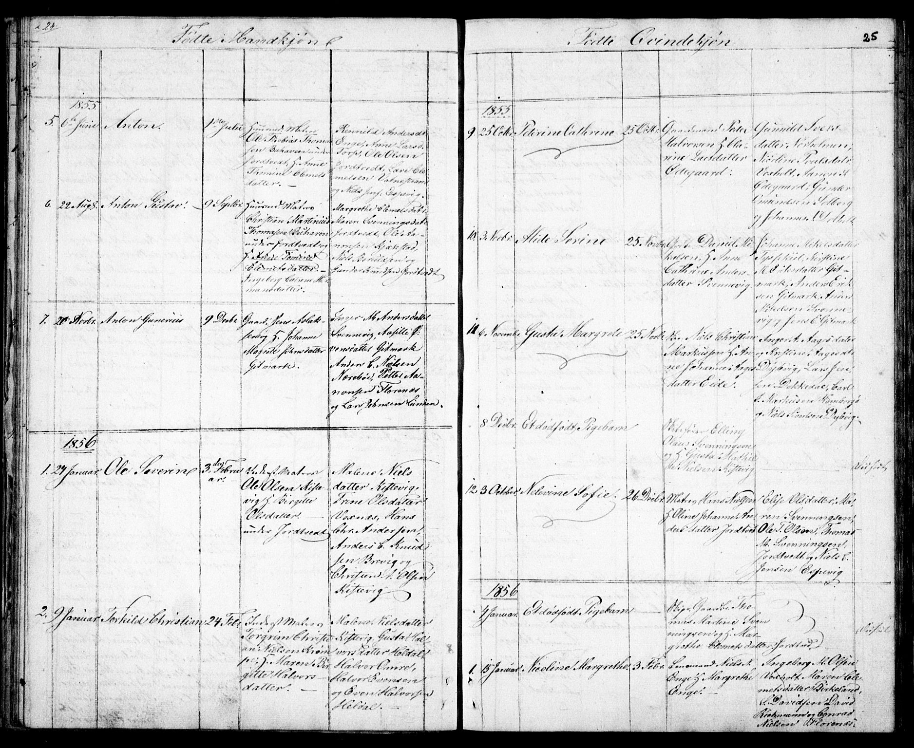 Hommedal sokneprestkontor, AV/SAK-1111-0023/F/Fb/Fba/L0002: Parish register (copy) no. B 2, 1841-1863, p. 25