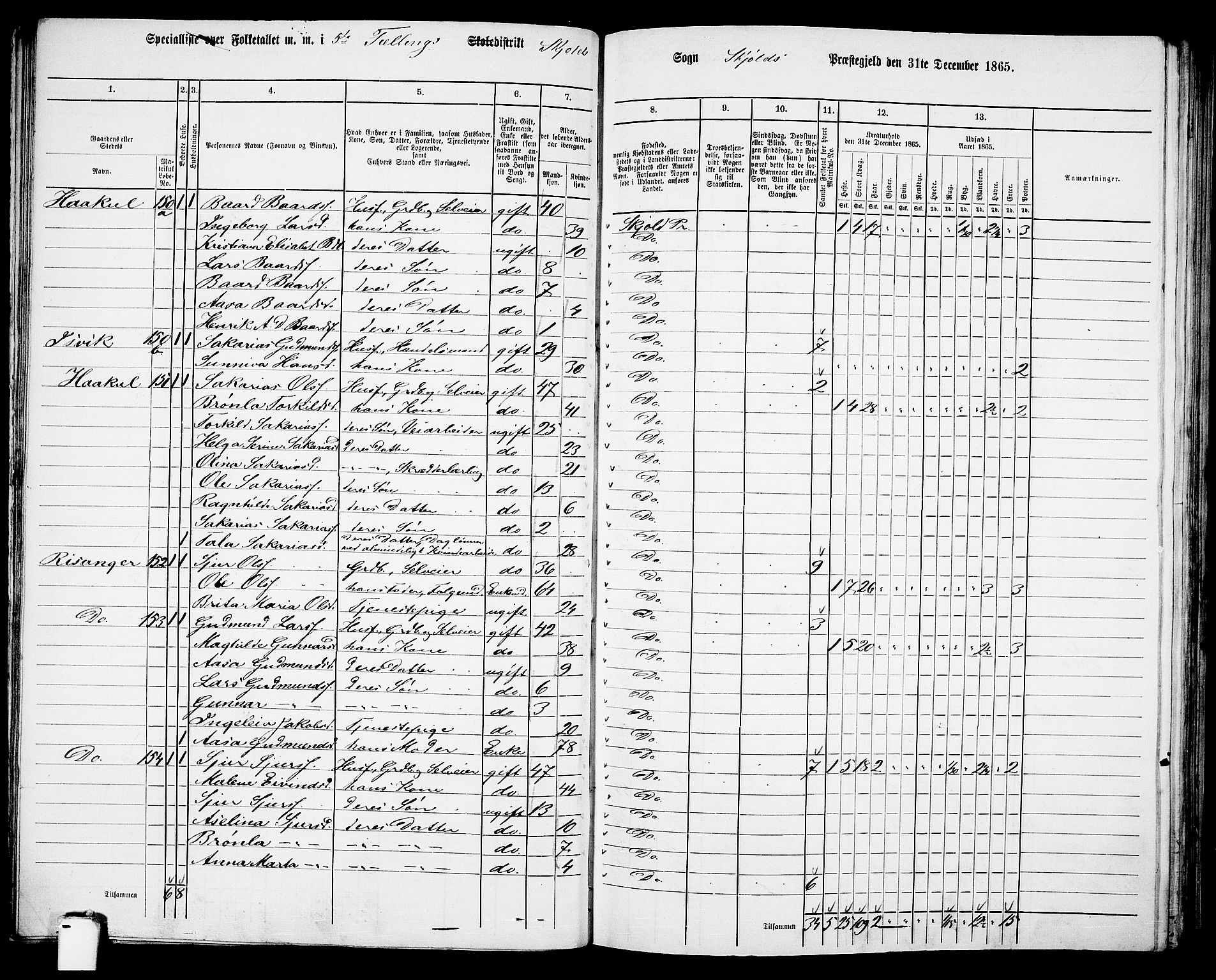 RA, 1865 census for Skjold, 1865, p. 70