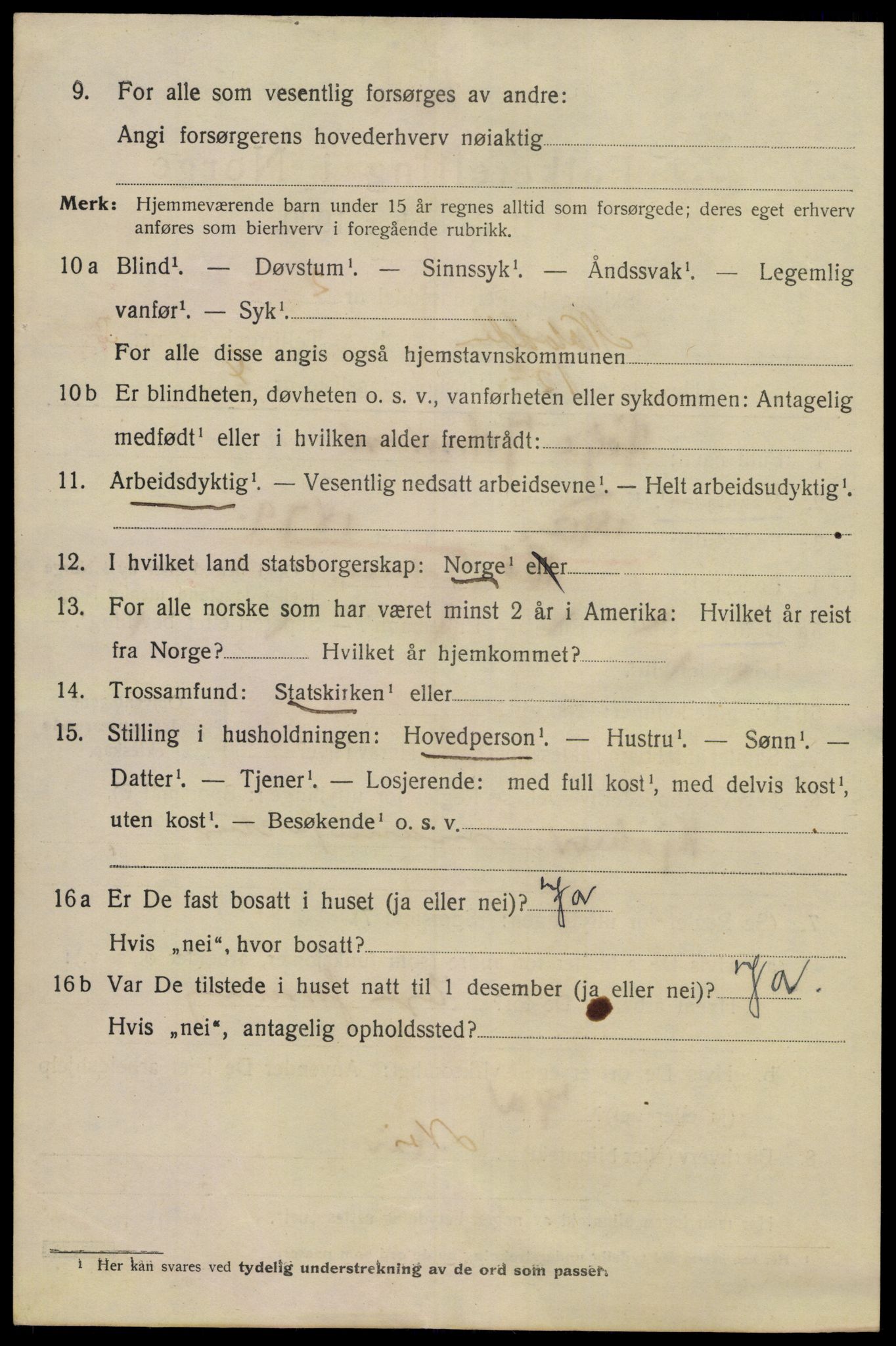 SAKO, 1920 census for Notodden, 1920, p. 9805