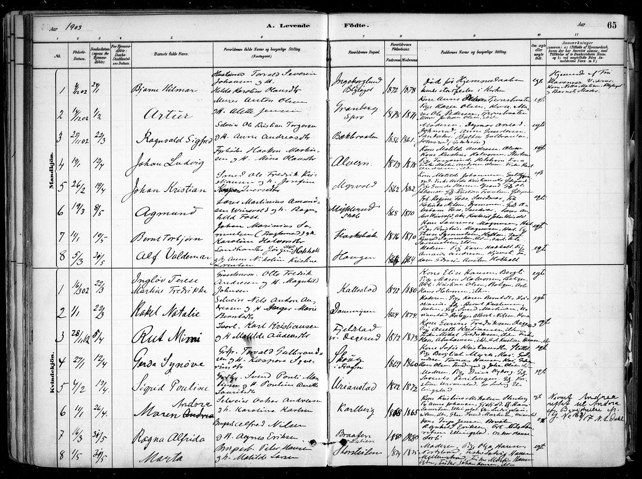 Nesodden prestekontor Kirkebøker, SAO/A-10013/F/Fa/L0009: Parish register (official) no. I 9, 1880-1915, p. 65