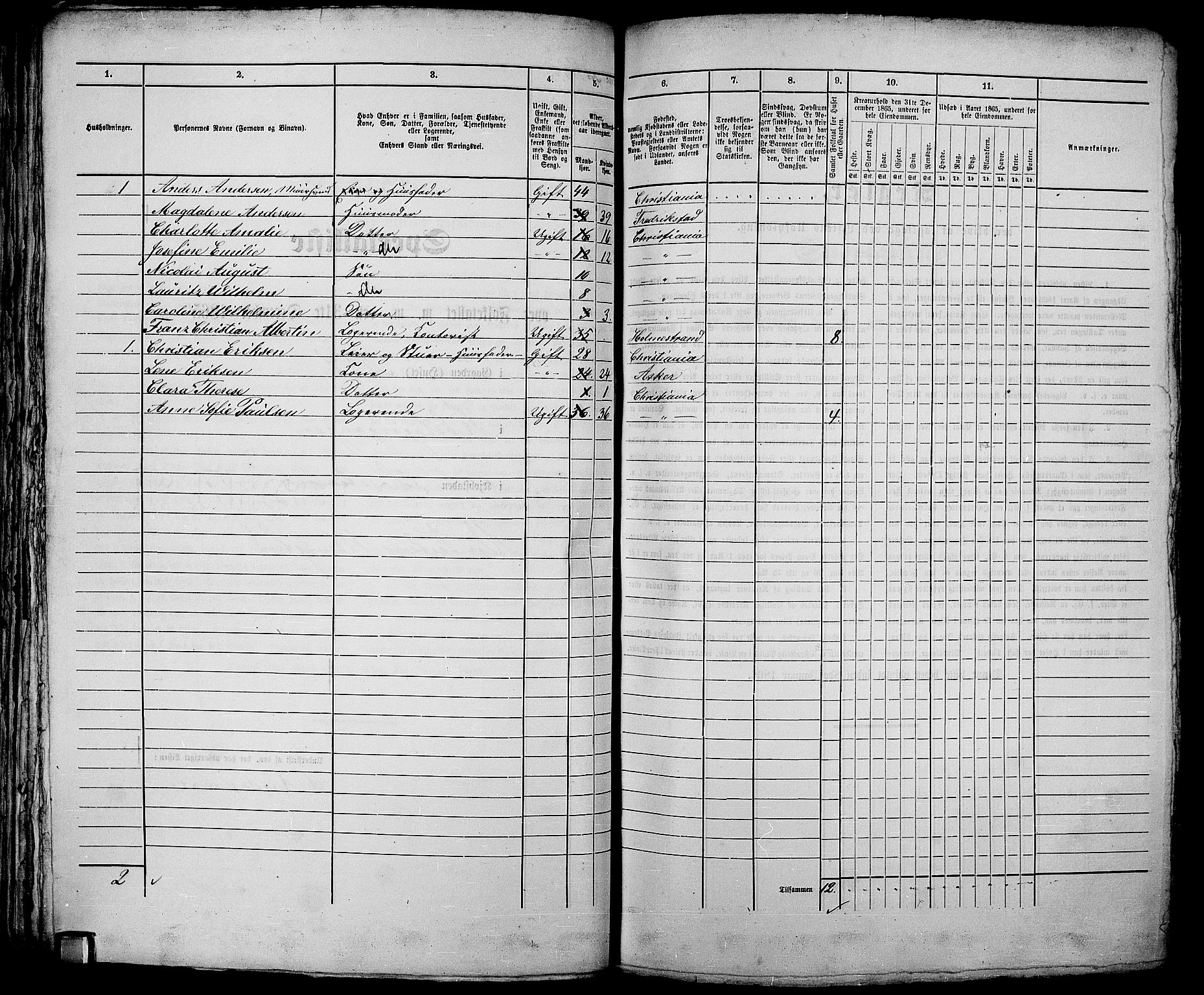 RA, 1865 census for Kristiania, 1865, p. 1299