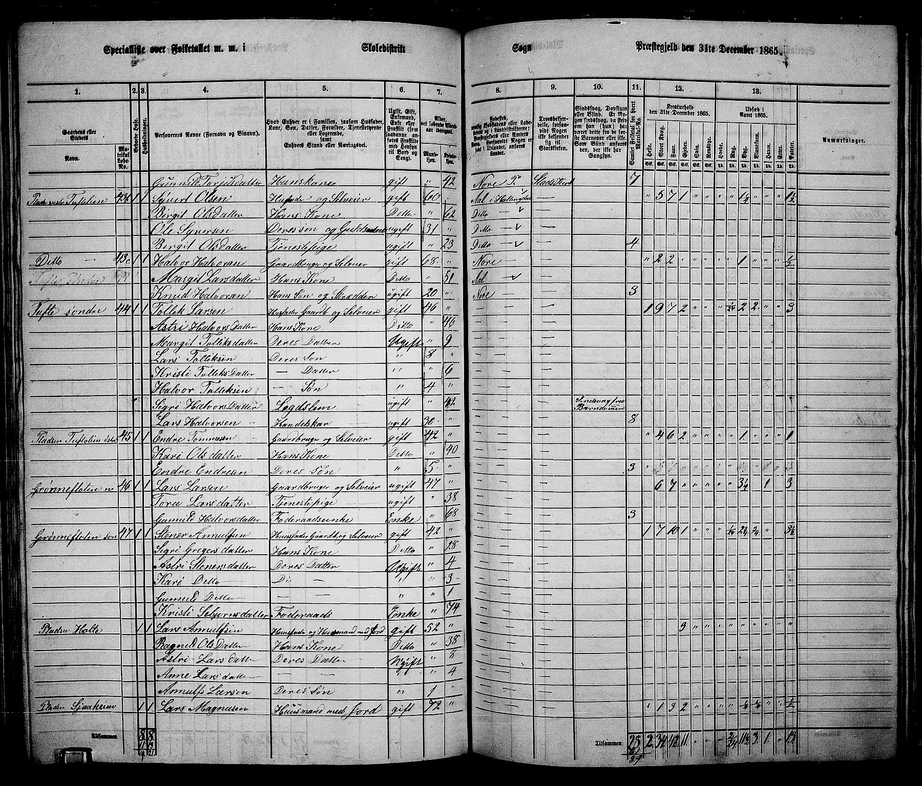 RA, 1865 census for Nore, 1865, p. 106