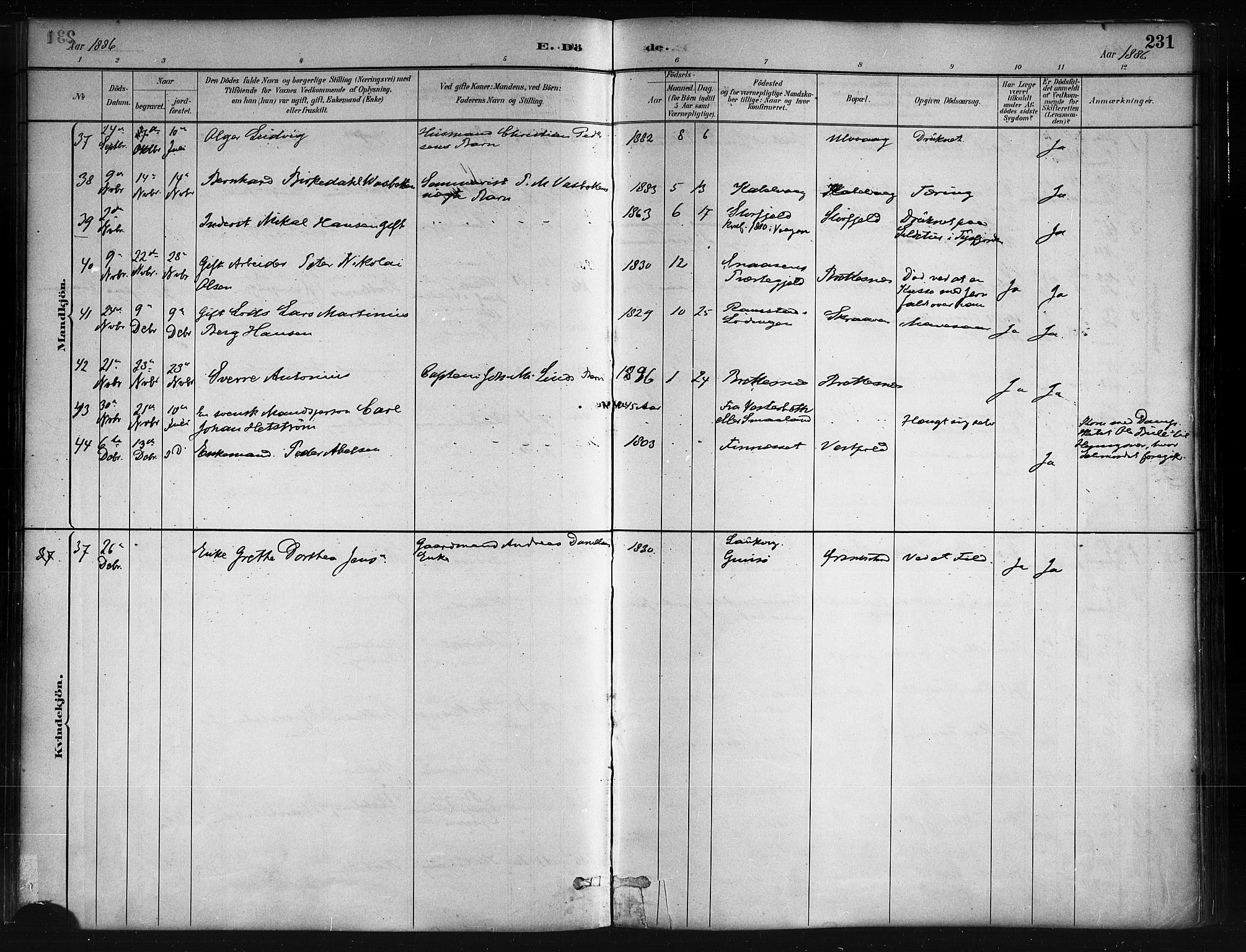 Ministerialprotokoller, klokkerbøker og fødselsregistre - Nordland, AV/SAT-A-1459/874/L1059: Parish register (official) no. 874A03, 1884-1890, p. 231