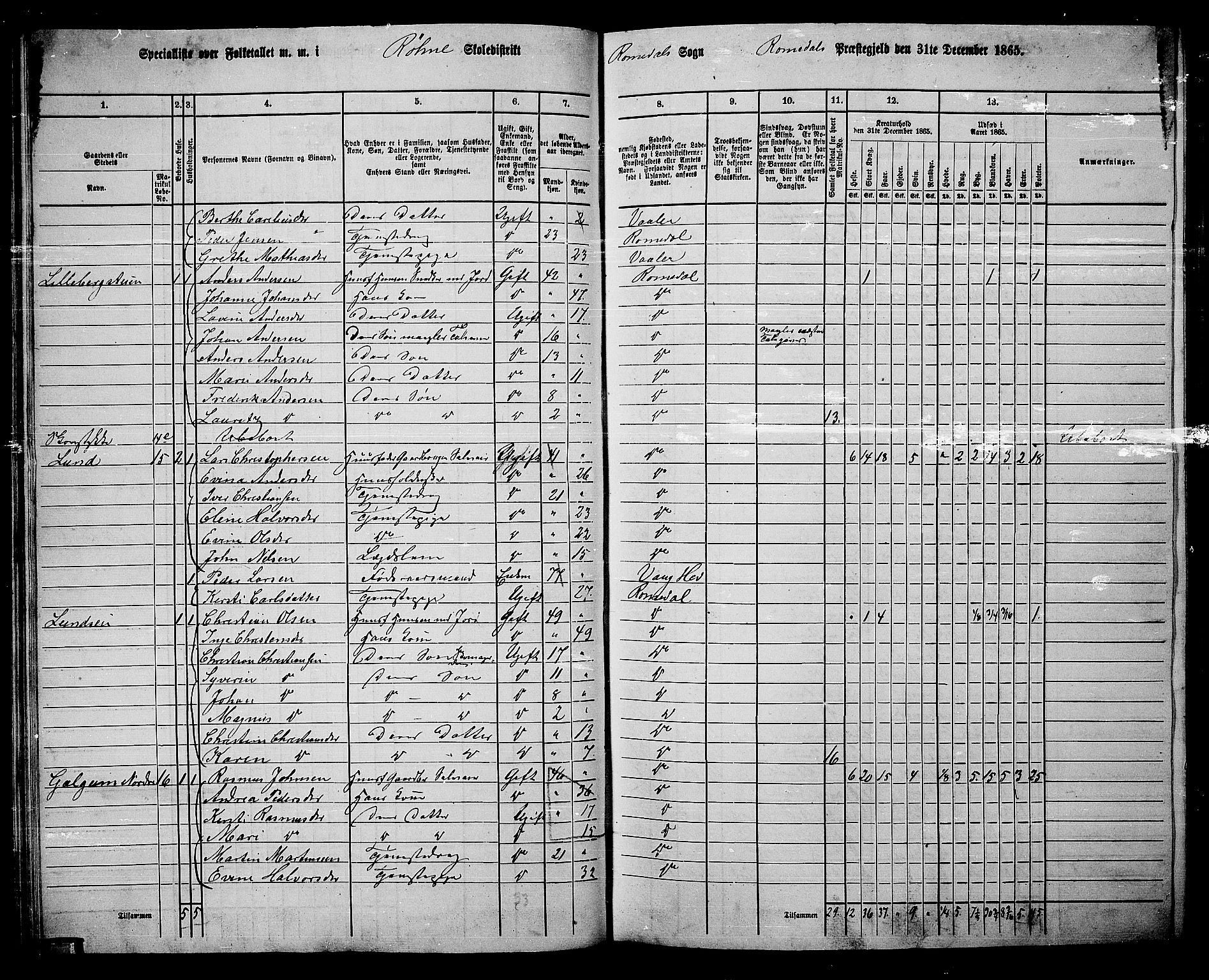 RA, 1865 census for Romedal, 1865, p. 45