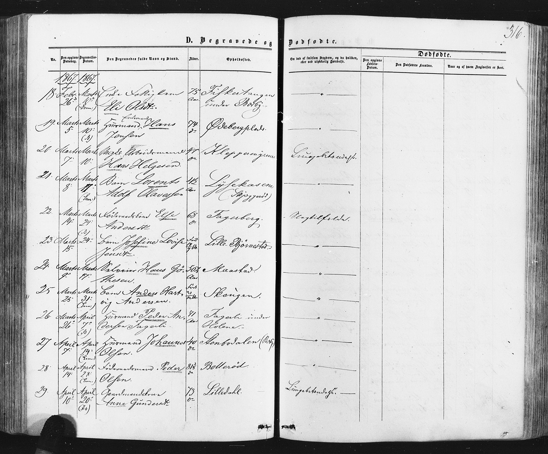 Idd prestekontor Kirkebøker, AV/SAO-A-10911/F/Fc/L0005: Parish register (official) no. III 5, 1861-1877, p. 316