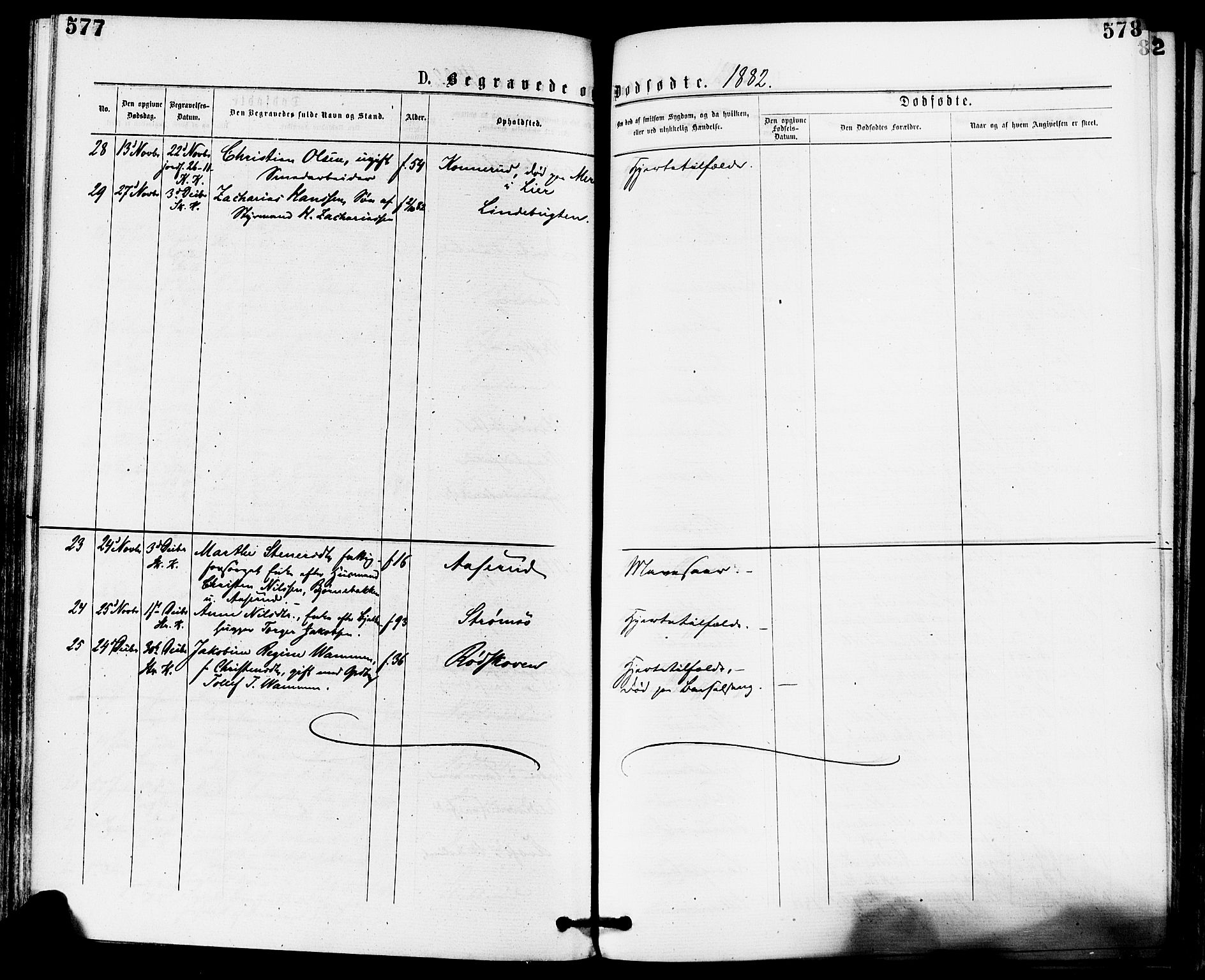 Skoger kirkebøker, AV/SAKO-A-59/F/Fa/L0005: Parish register (official) no. I 5, 1873-1884, p. 577-578