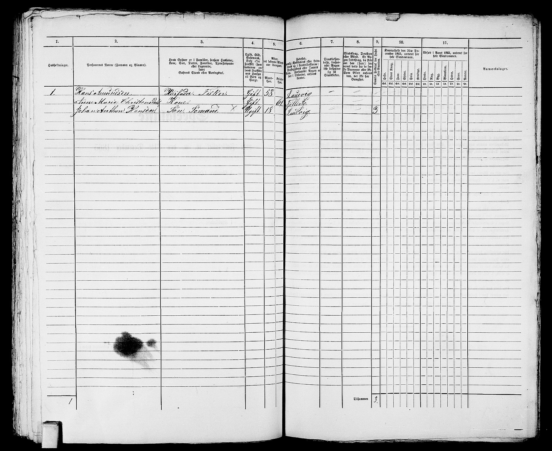 RA, 1865 census for Larvik, 1865, p. 1024