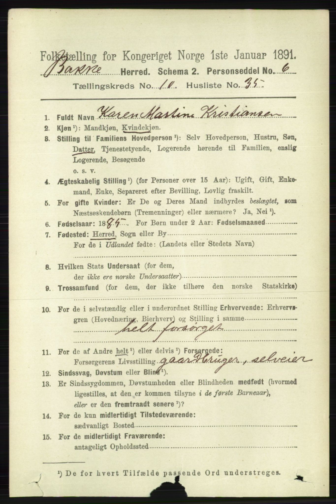 RA, 1891 census for 1045 Bakke, 1891, p. 2199