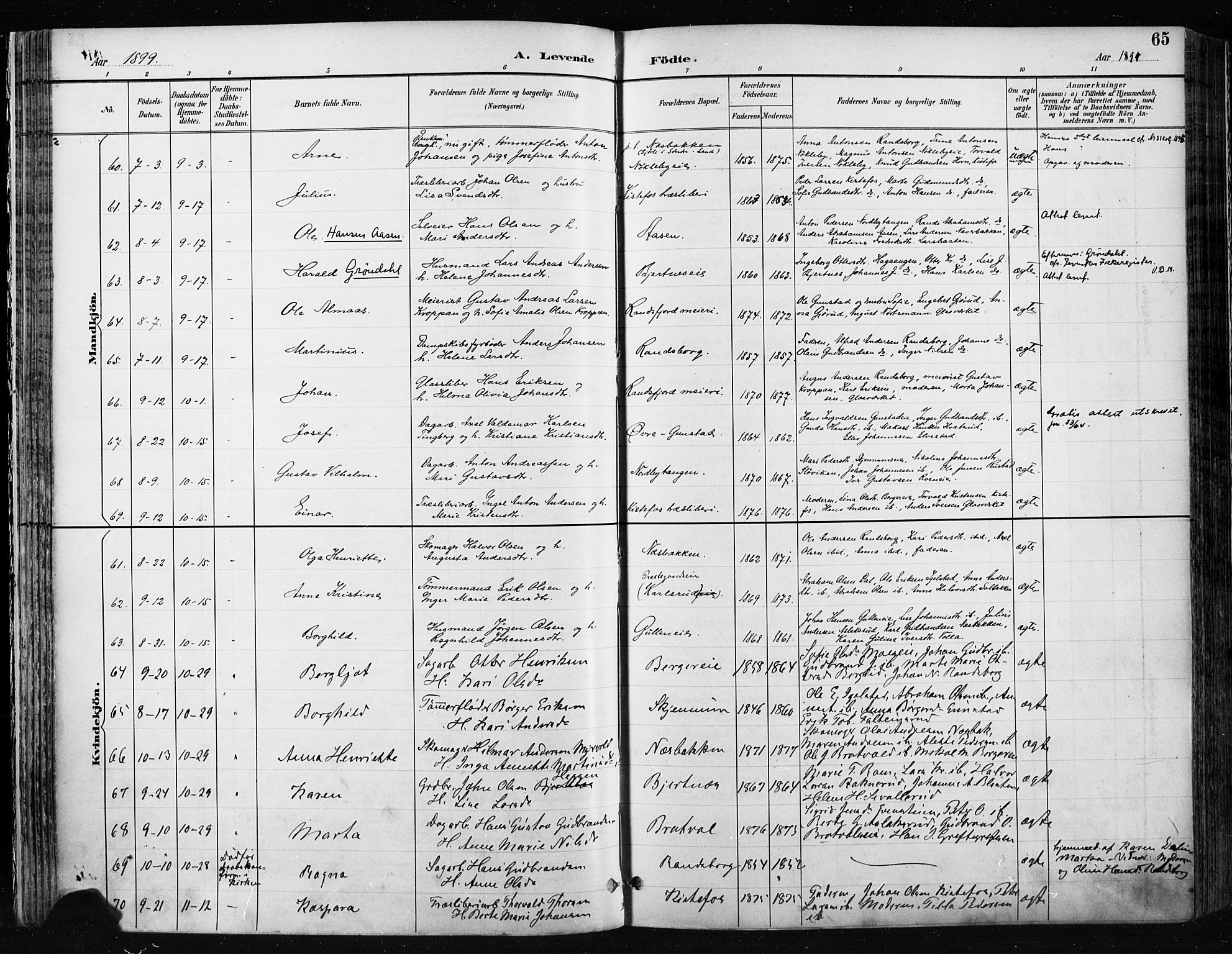 Jevnaker prestekontor, AV/SAH-PREST-116/H/Ha/Haa/L0009: Parish register (official) no. 9, 1891-1901, p. 65