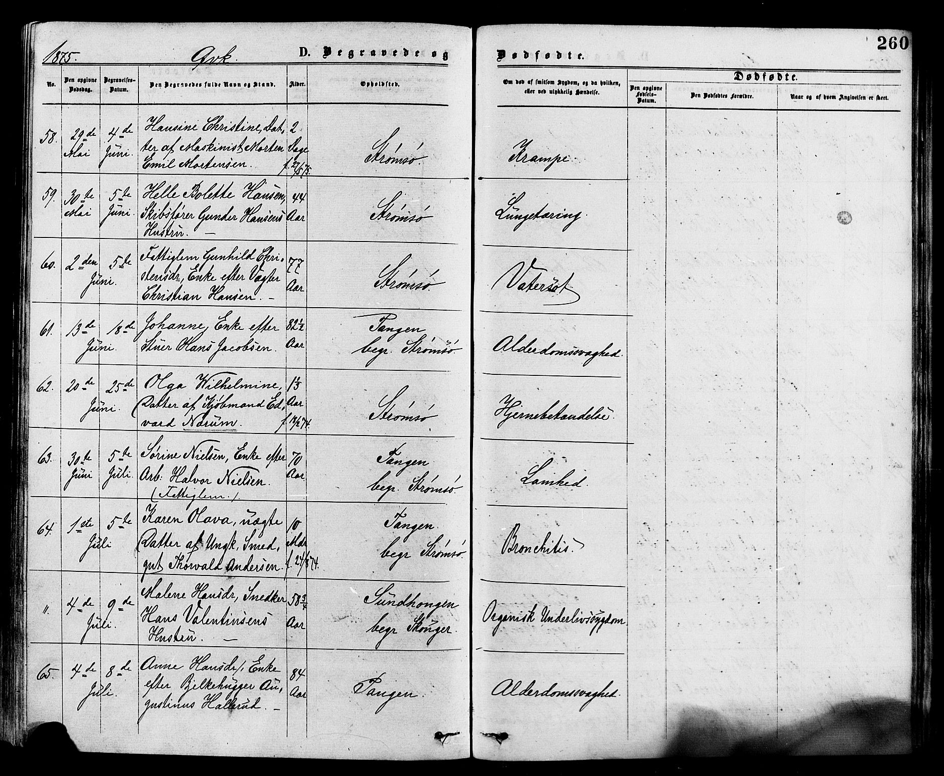 Strømsø kirkebøker, AV/SAKO-A-246/F/Fa/L0019: Parish register (official) no. I 19, 1874-1877, p. 260