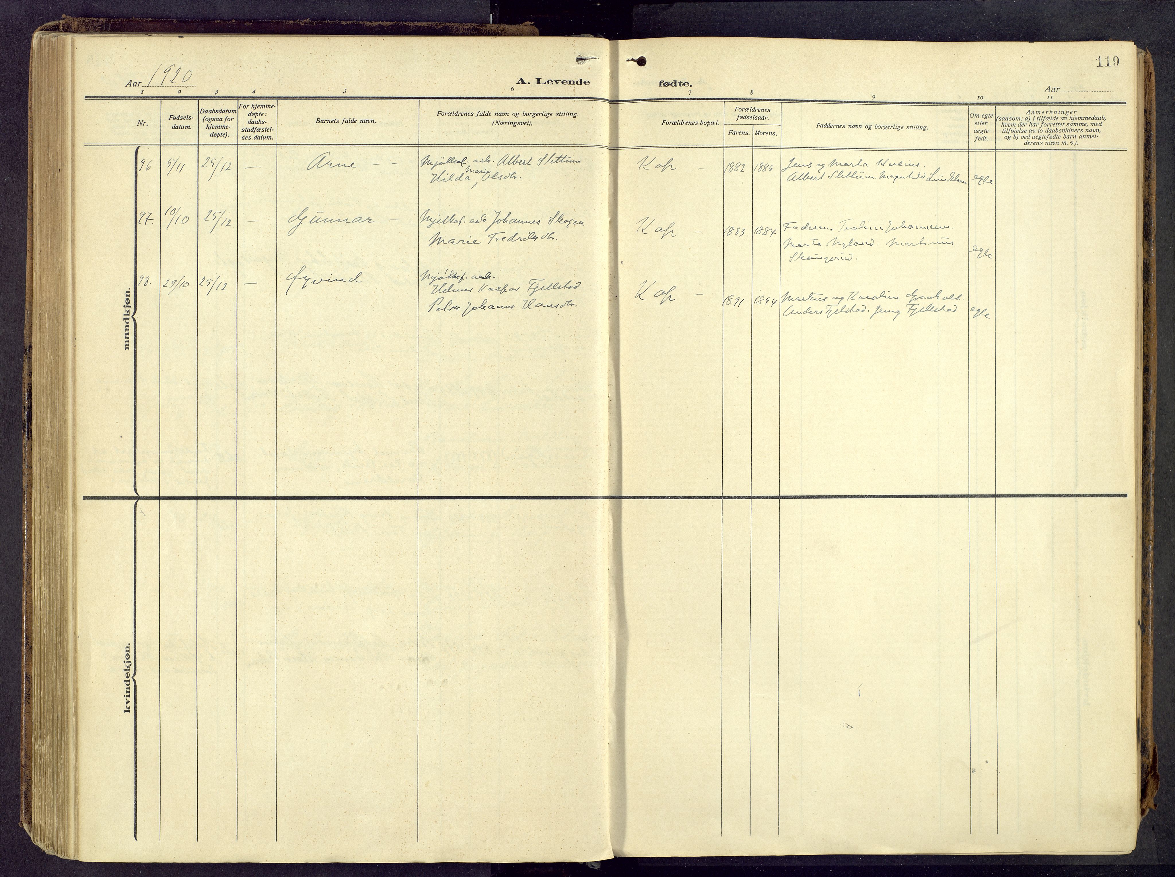 Østre Toten prestekontor, AV/SAH-PREST-104/H/Ha/Haa/L0010: Parish register (official) no. 10, 1910-1920, p. 119