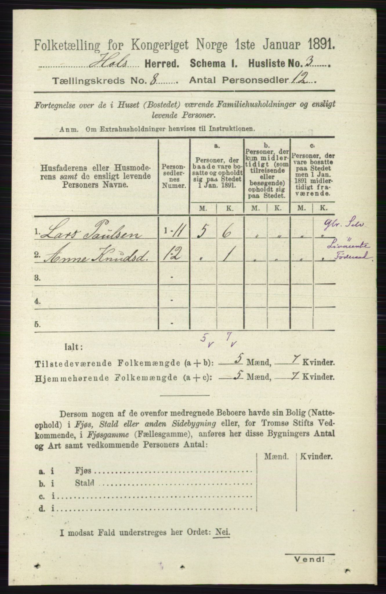 RA, 1891 census for 0620 Hol, 1891, p. 2214