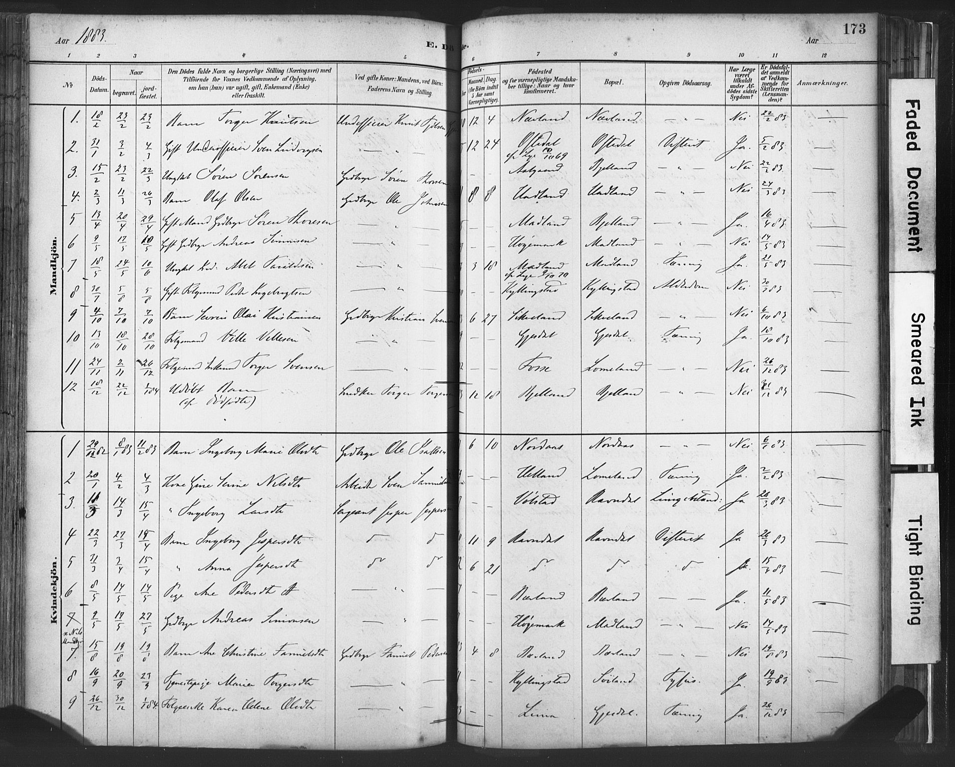 Lye sokneprestkontor, AV/SAST-A-101794/001/30BA/L0010: Parish register (official) no. A 10, 1881-1896, p. 173