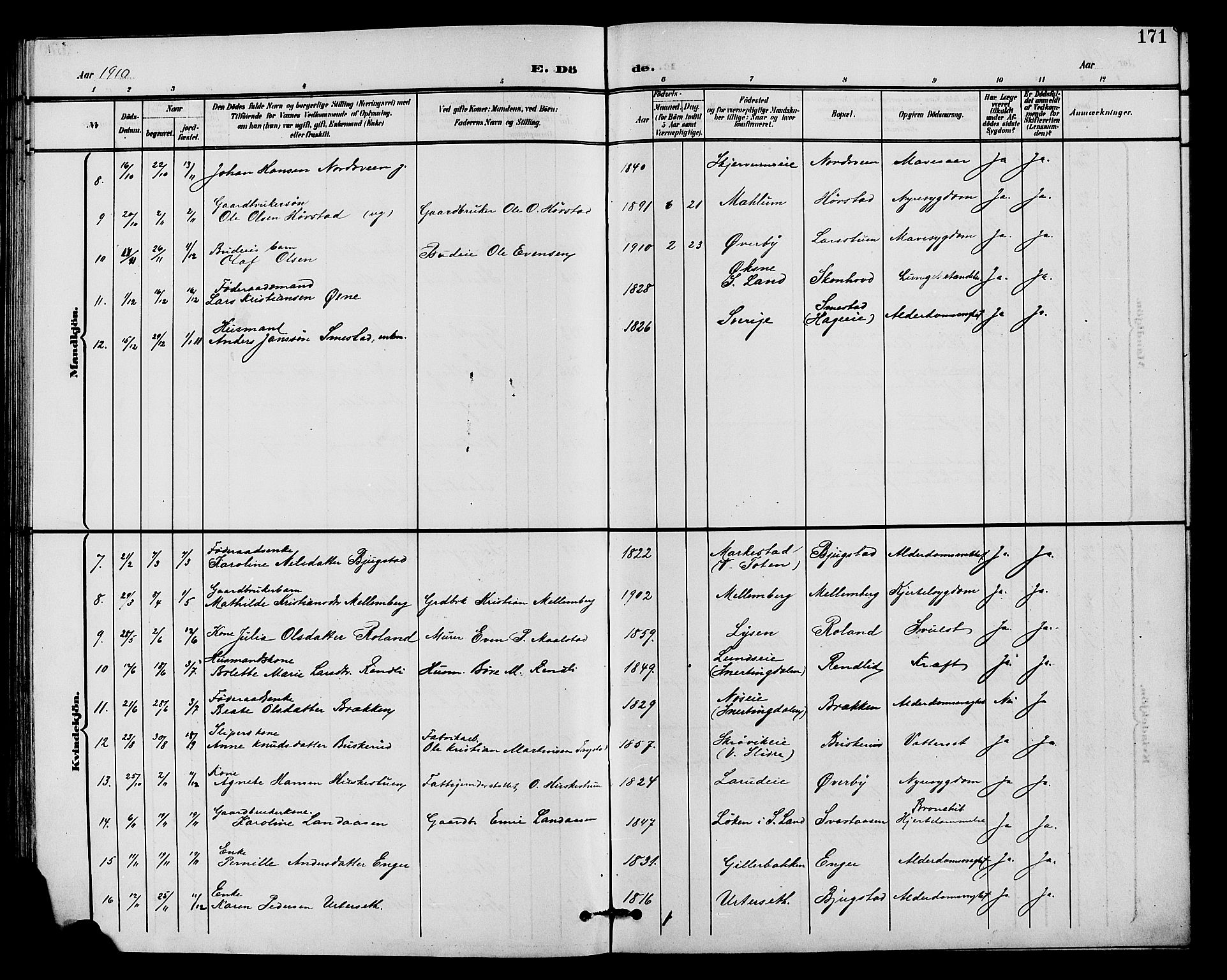 Vardal prestekontor, AV/SAH-PREST-100/H/Ha/Hab/L0011: Parish register (copy) no. 11, 1899-1913, p. 171