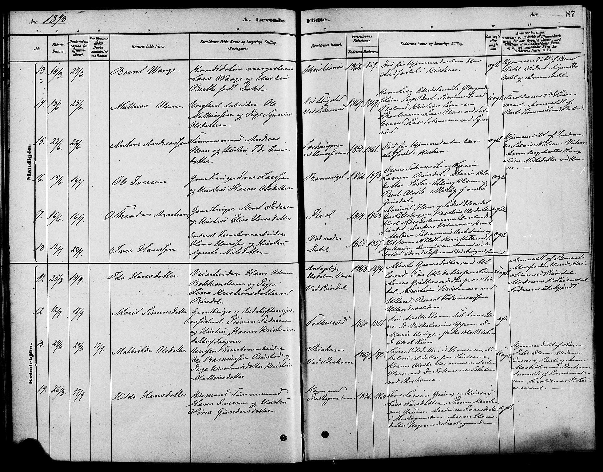 Fåberg prestekontor, AV/SAH-PREST-086/H/Ha/Haa/L0008: Parish register (official) no. 8, 1879-1898, p. 87