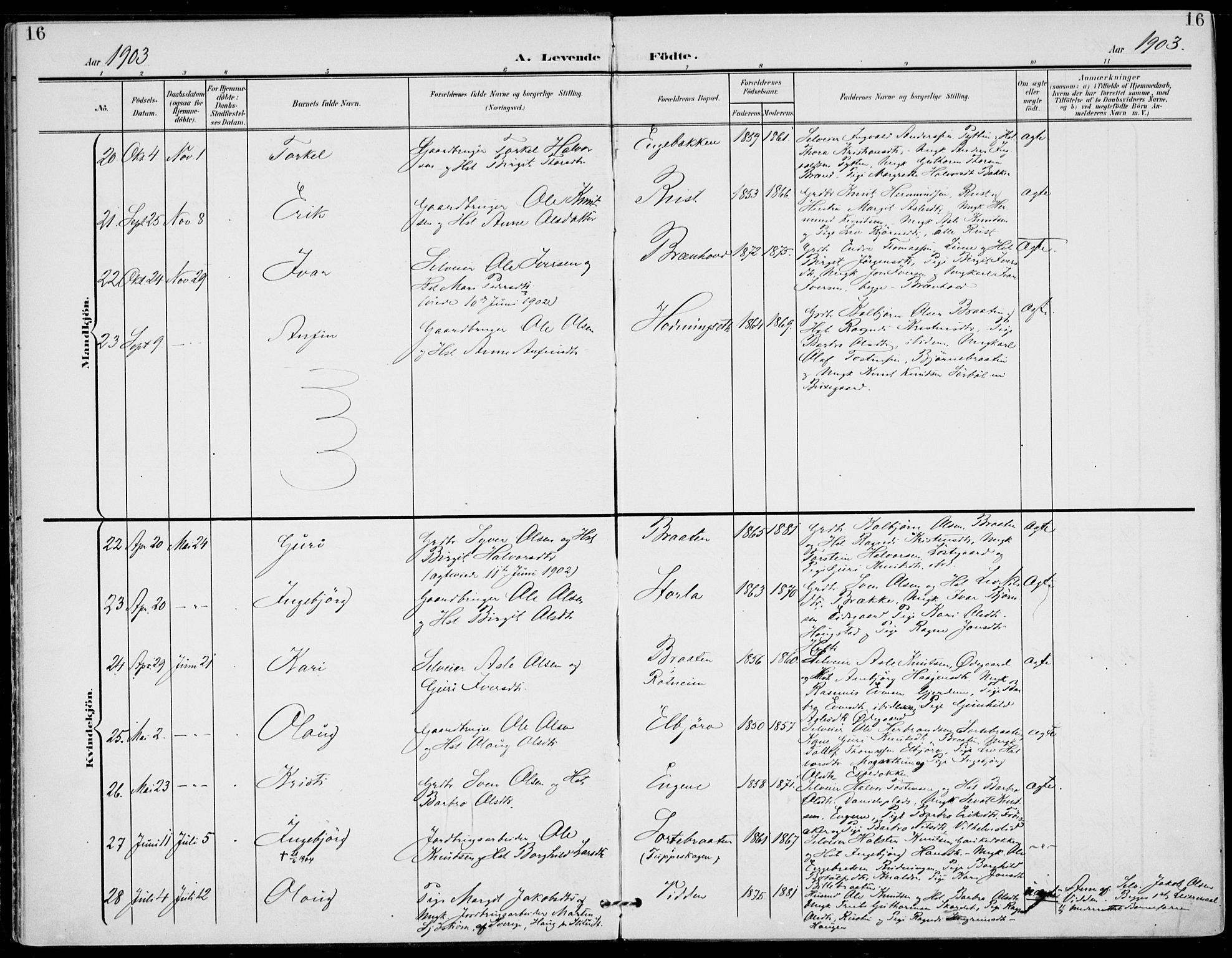 Gol kirkebøker, AV/SAKO-A-226/F/Fa/L0006: Parish register (official) no. I 6, 1901-1918, p. 16