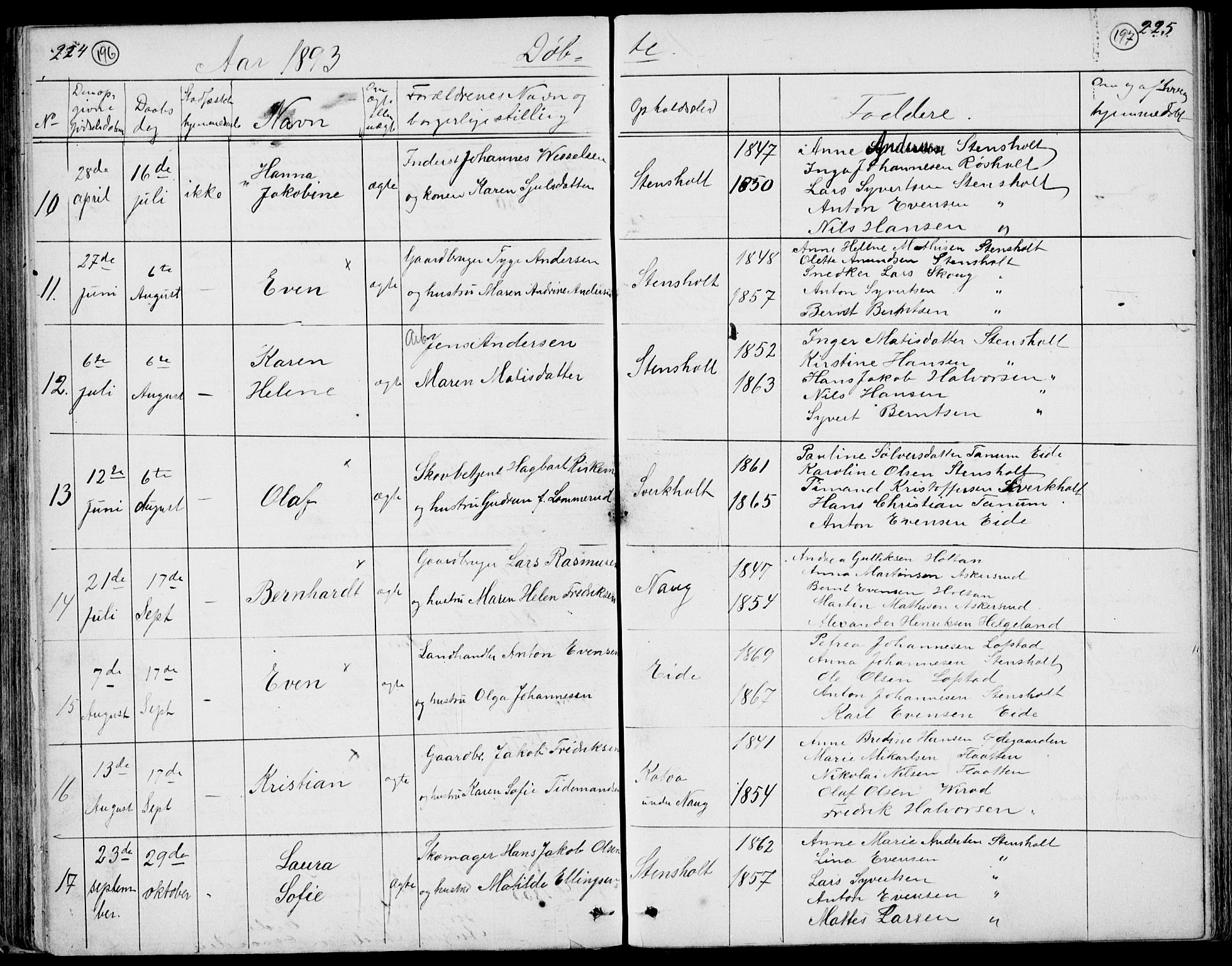 Lardal kirkebøker, AV/SAKO-A-350/G/Gc/L0001: Parish register (copy) no. III 1, 1859-1893, p. 224-225