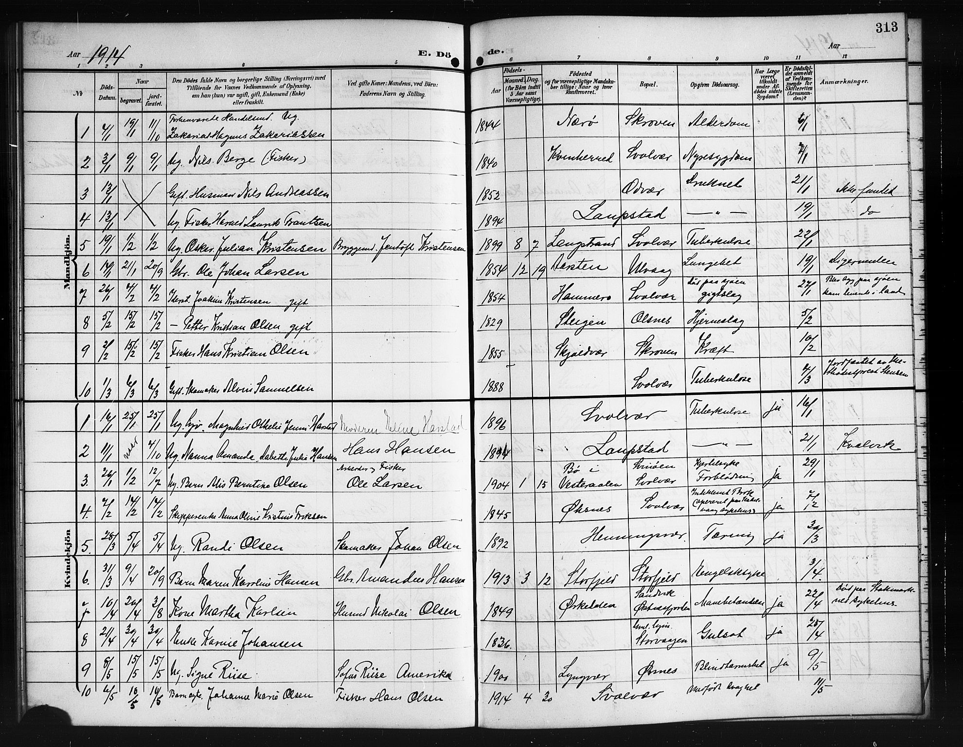 Ministerialprotokoller, klokkerbøker og fødselsregistre - Nordland, AV/SAT-A-1459/874/L1079: Parish register (copy) no. 874C08, 1907-1915, p. 313