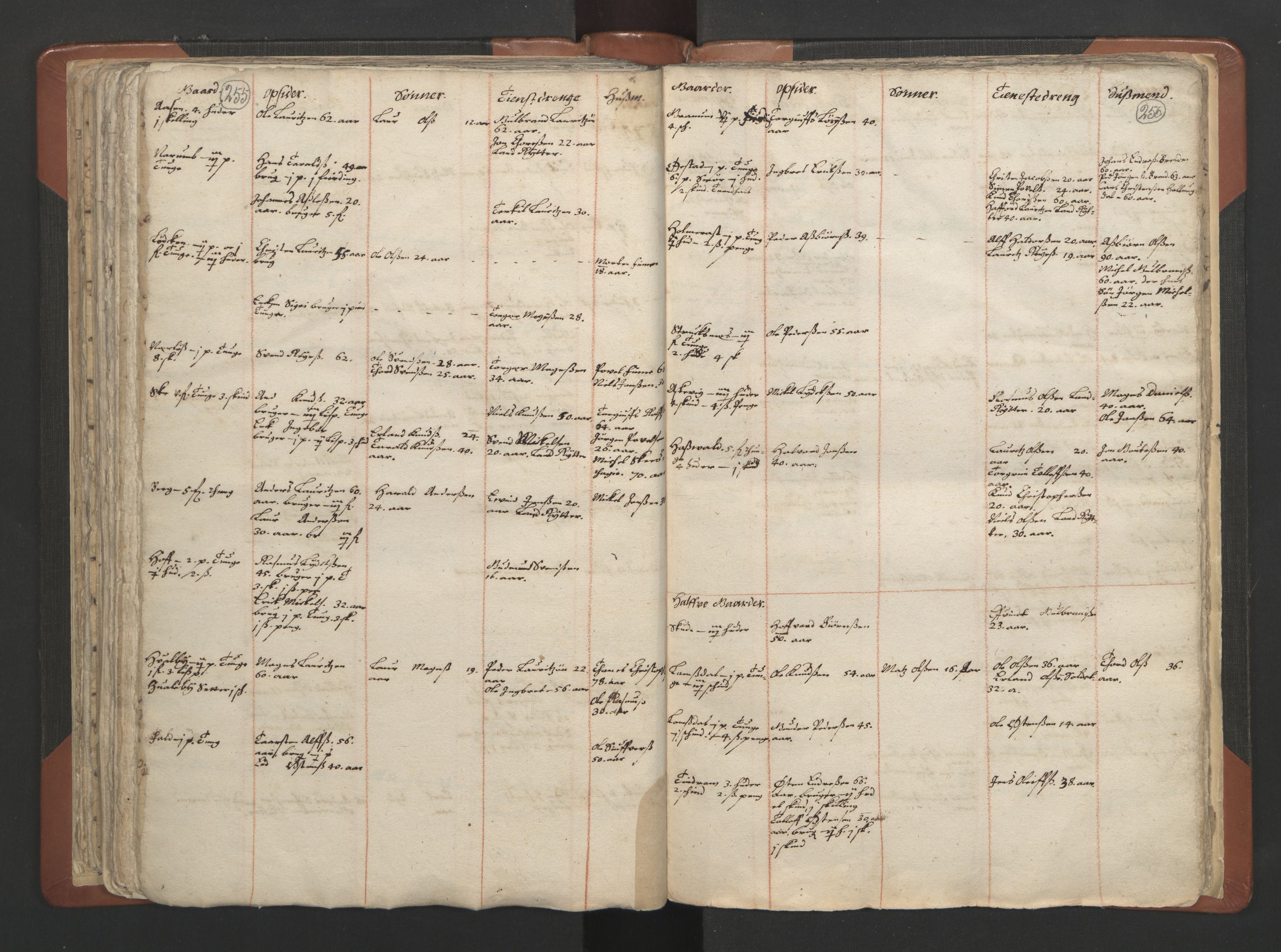 RA, Vicar's Census 1664-1666, no. 7: Hadeland deanery, 1664-1666, p. 255-256