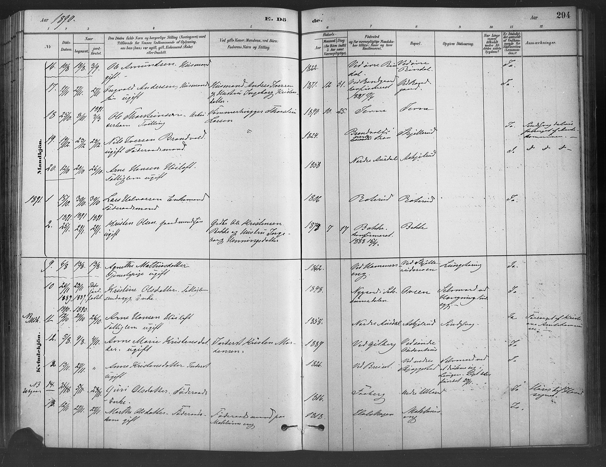Fåberg prestekontor, SAH/PREST-086/H/Ha/Haa/L0009: Parish register (official) no. 9, 1879-1898, p. 294