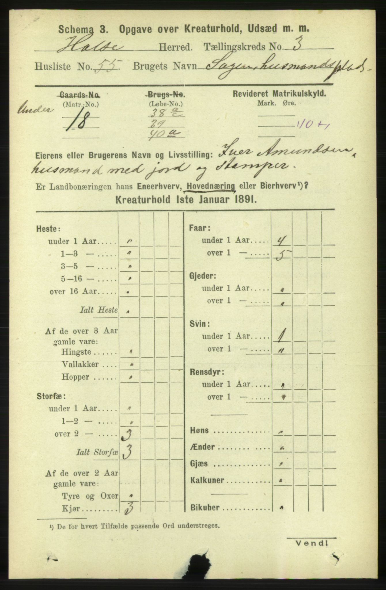 RA, 1891 census for 1571 Halsa, 1891, p. 2076