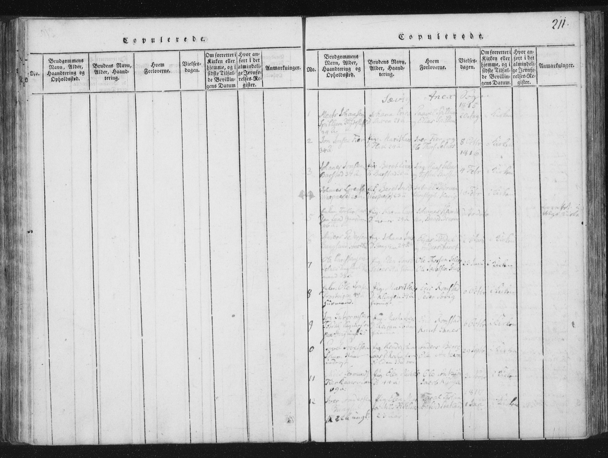 Ministerialprotokoller, klokkerbøker og fødselsregistre - Nord-Trøndelag, AV/SAT-A-1458/773/L0609: Parish register (official) no. 773A03 /4, 1815-1818, p. 211