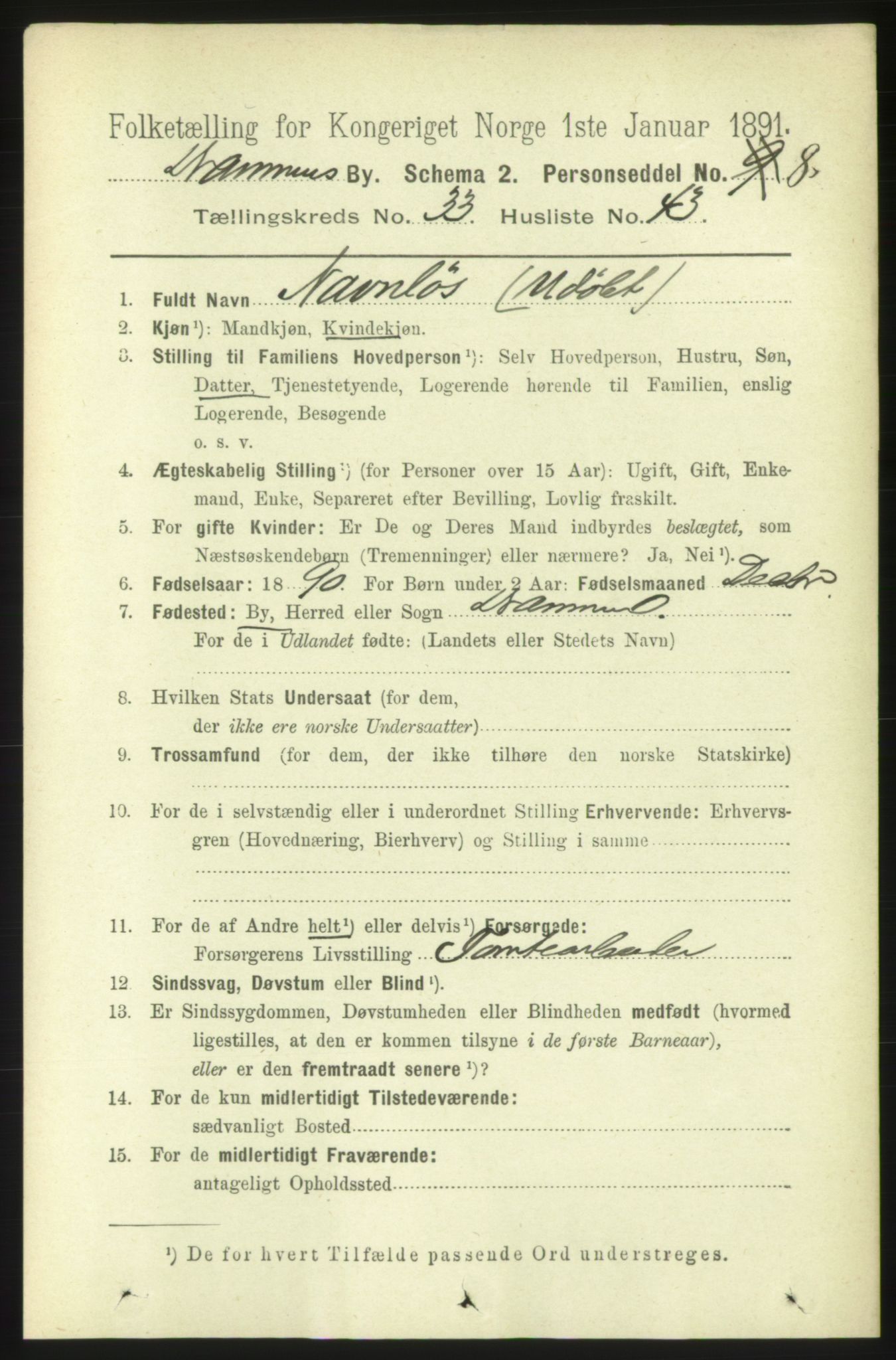 RA, 1891 census for 0602 Drammen, 1891, p. 20508