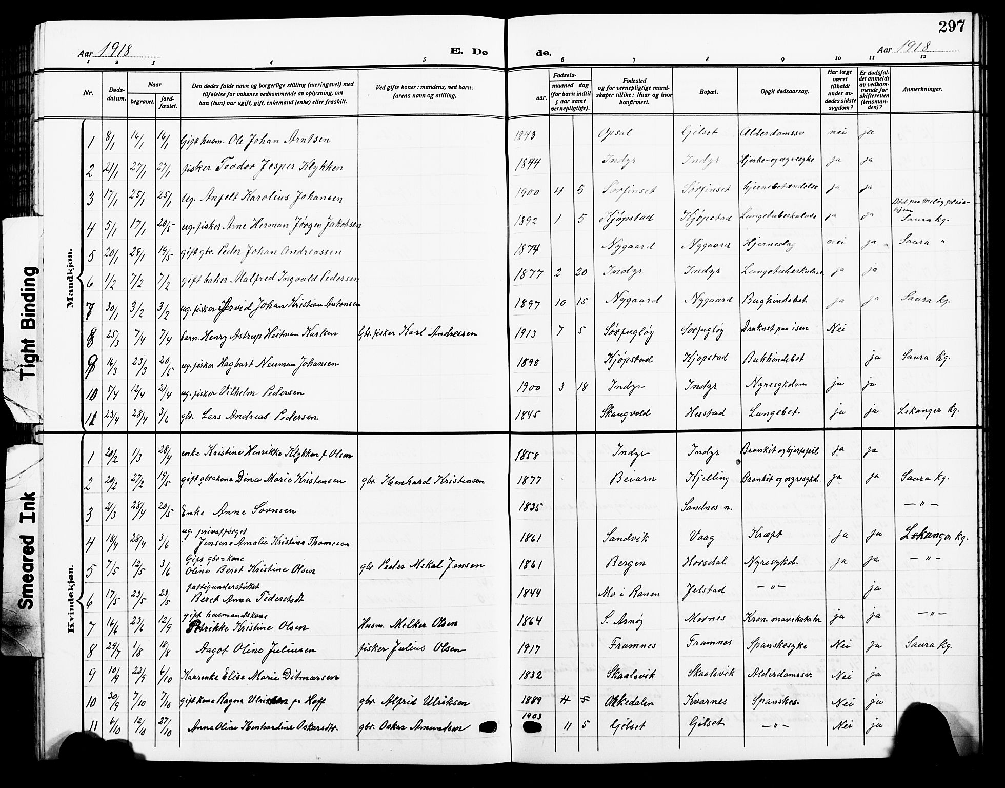 Ministerialprotokoller, klokkerbøker og fødselsregistre - Nordland, AV/SAT-A-1459/805/L0110: Parish register (copy) no. 805C06, 1909-1924, p. 297