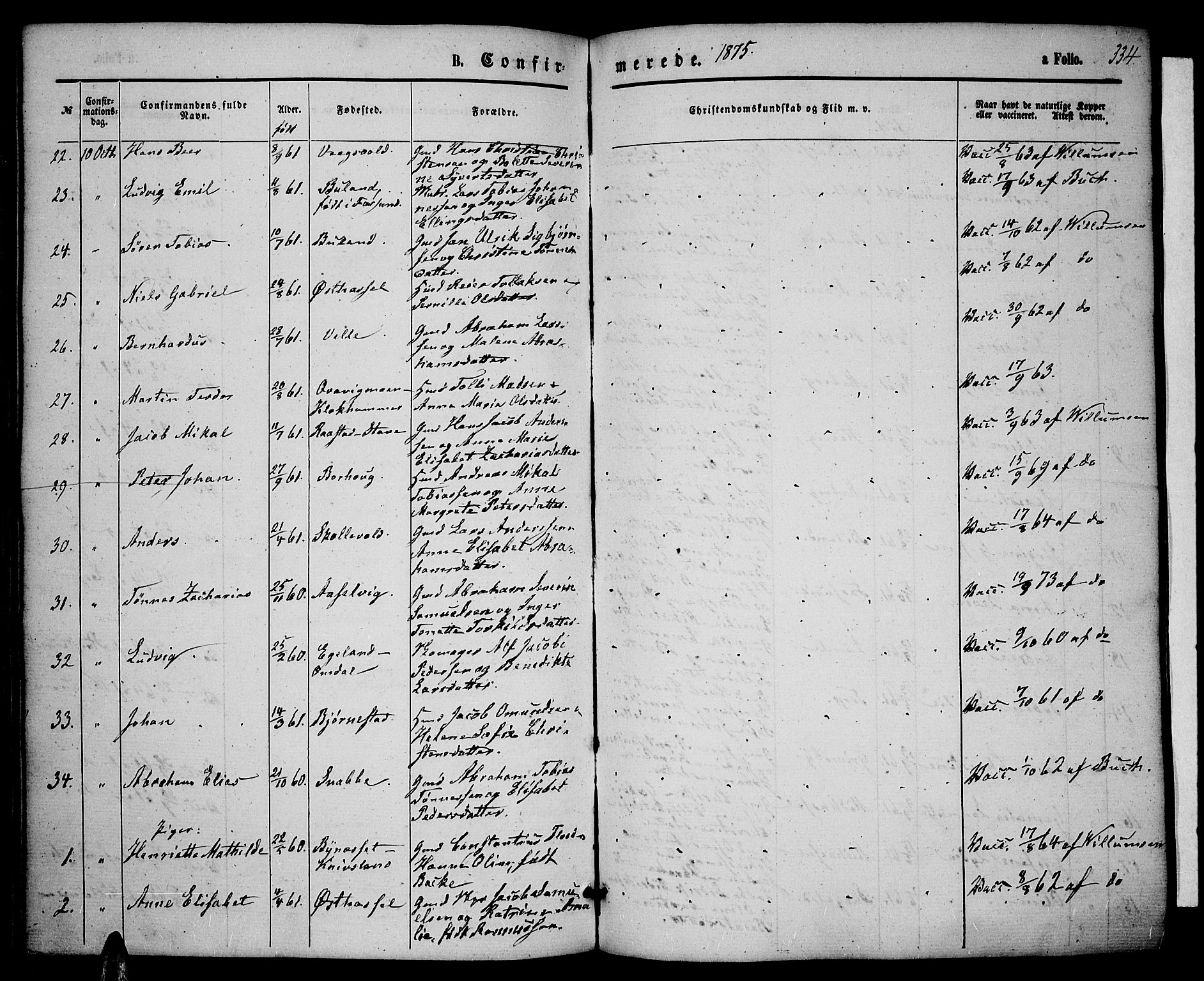 Lista sokneprestkontor, AV/SAK-1111-0027/F/Fb/L0003: Parish register (copy) no. B 3, 1862-1877, p. 334