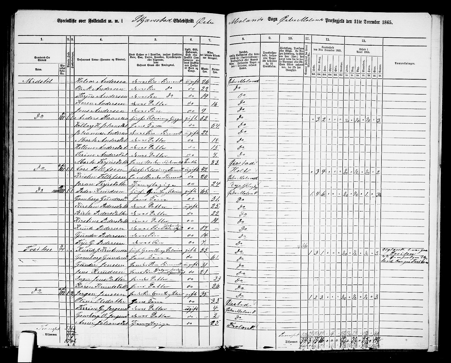 RA, 1865 census for Austre Moland, 1865, p. 318