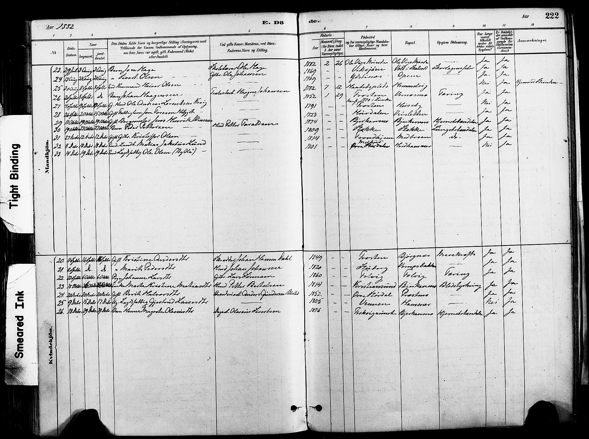 Ministerialprotokoller, klokkerbøker og fødselsregistre - Nord-Trøndelag, AV/SAT-A-1458/709/L0077: Parish register (official) no. 709A17, 1880-1895, p. 222