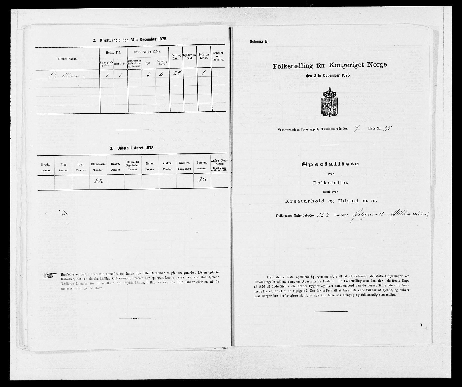 SAB, 1875 census for 1236P Vossestrand, 1875, p. 595