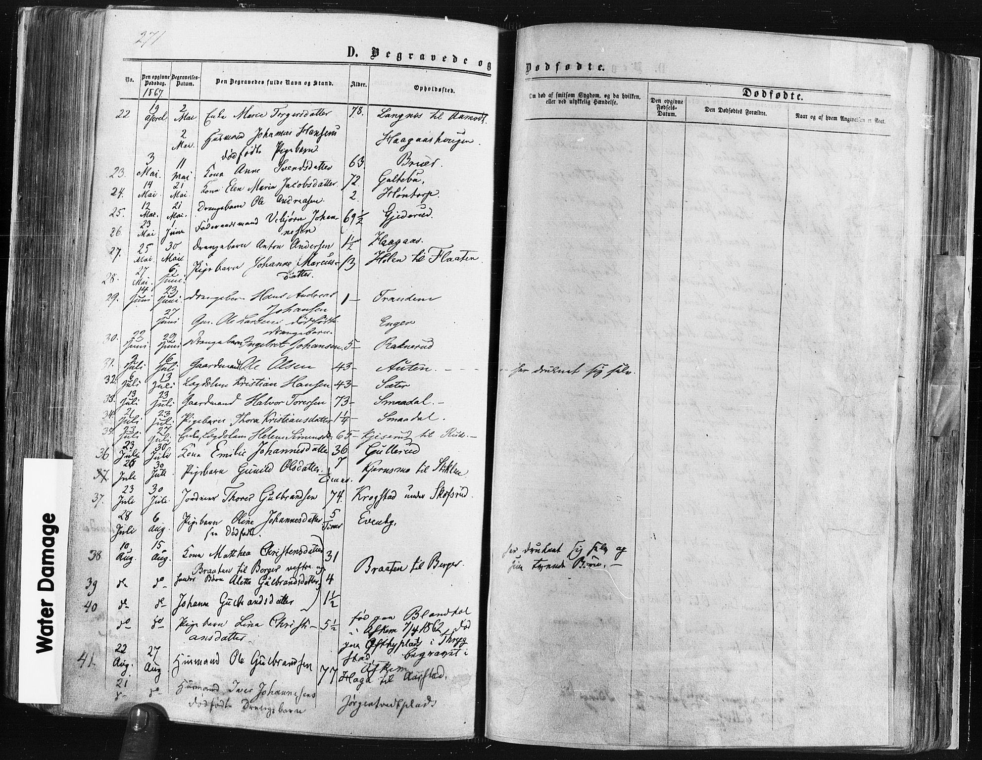 Trøgstad prestekontor Kirkebøker, AV/SAO-A-10925/F/Fa/L0009: Parish register (official) no. I 9, 1865-1877, p. 271