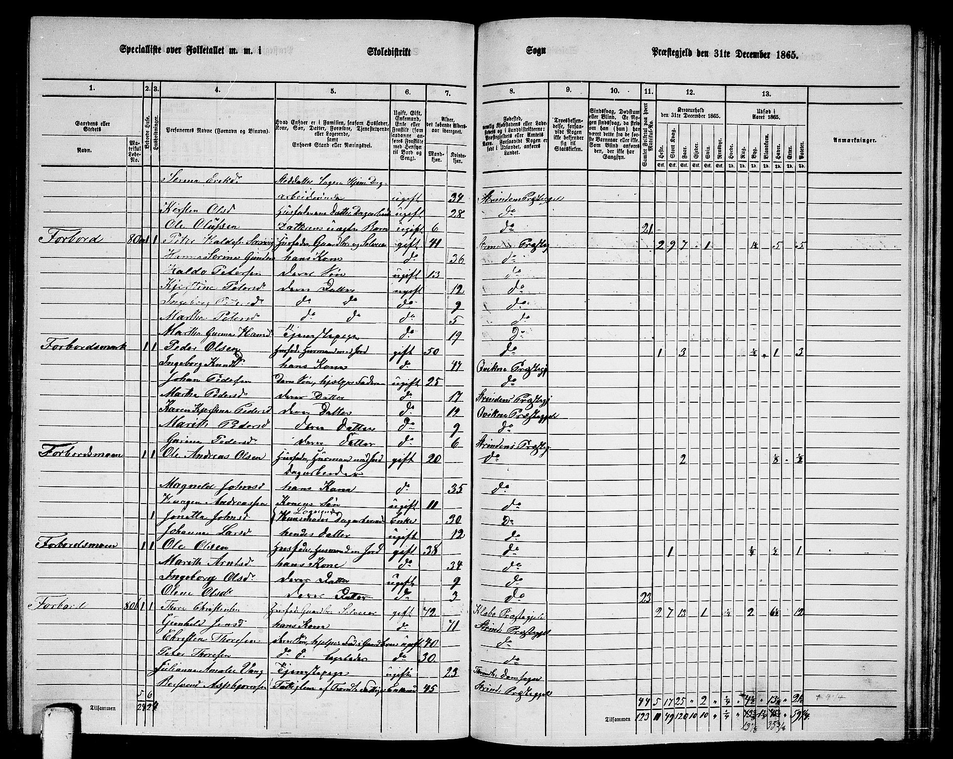 RA, 1865 census for Strinda, 1865, p. 215