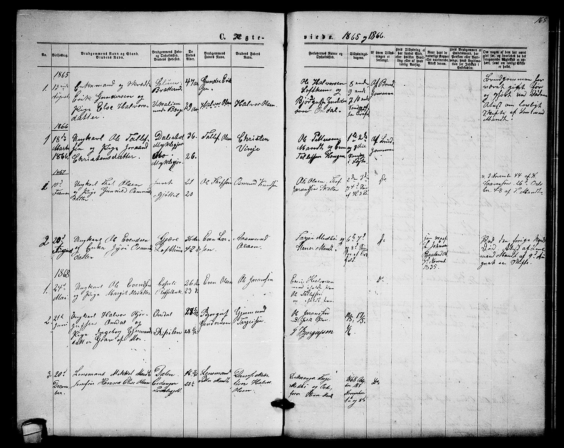 Lårdal kirkebøker, AV/SAKO-A-284/G/Gb/L0002: Parish register (copy) no. II 2, 1865-1888, p. 165