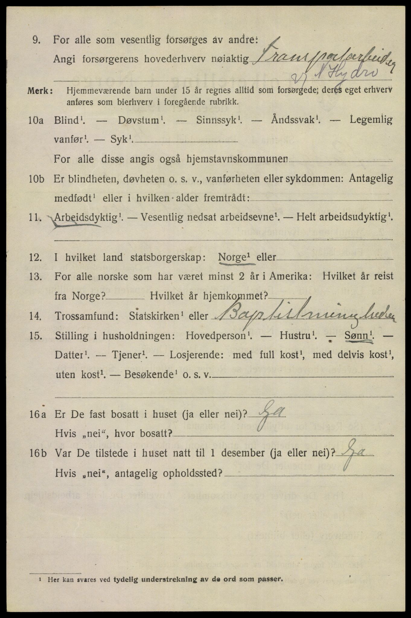 SAKO, 1920 census for Porsgrunn, 1920, p. 19918