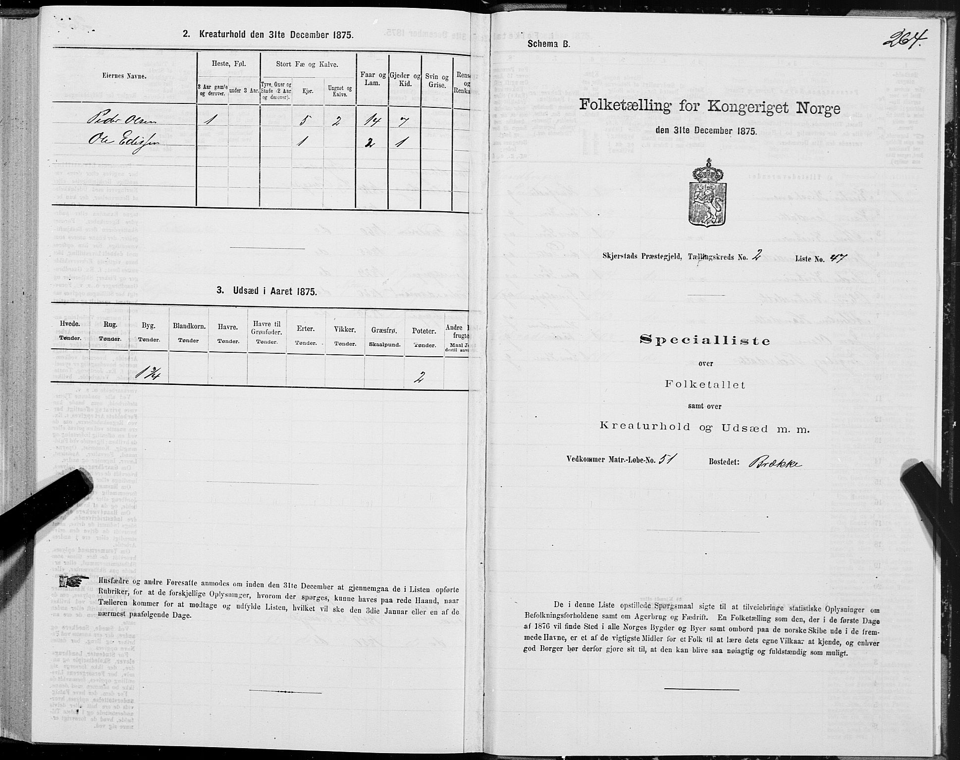 SAT, 1875 census for 1842P Skjerstad, 1875, p. 1264