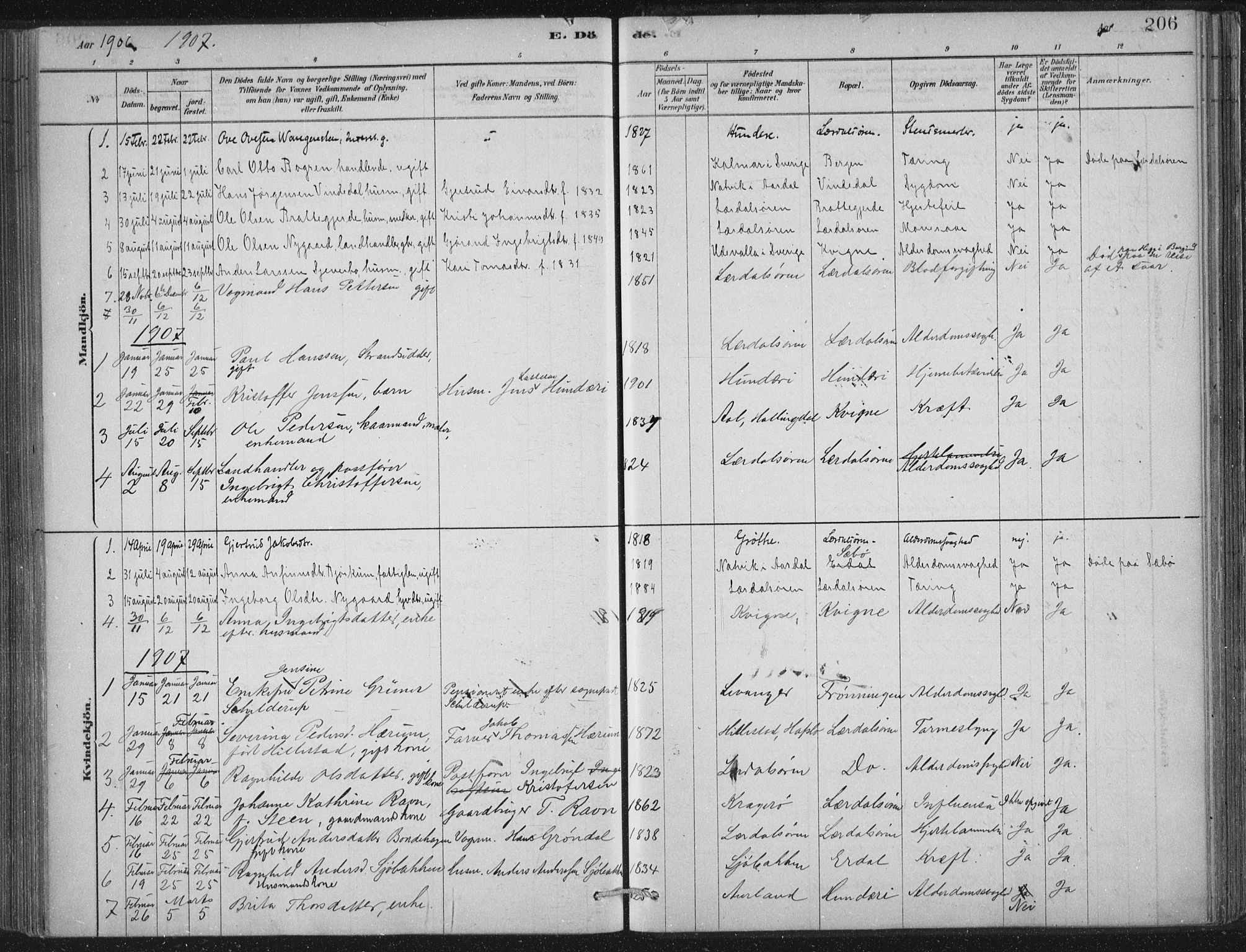 Lærdal sokneprestembete, AV/SAB-A-81201: Parish register (official) no. D  1, 1878-1908, p. 206